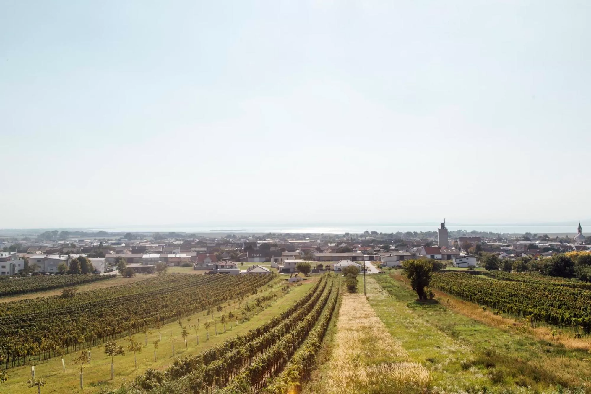 Natural landscape in Luis von Weyden