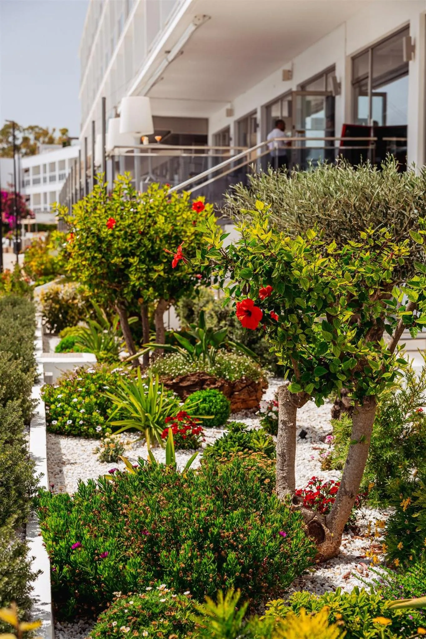 Property building in Hotel Simbad Ibiza