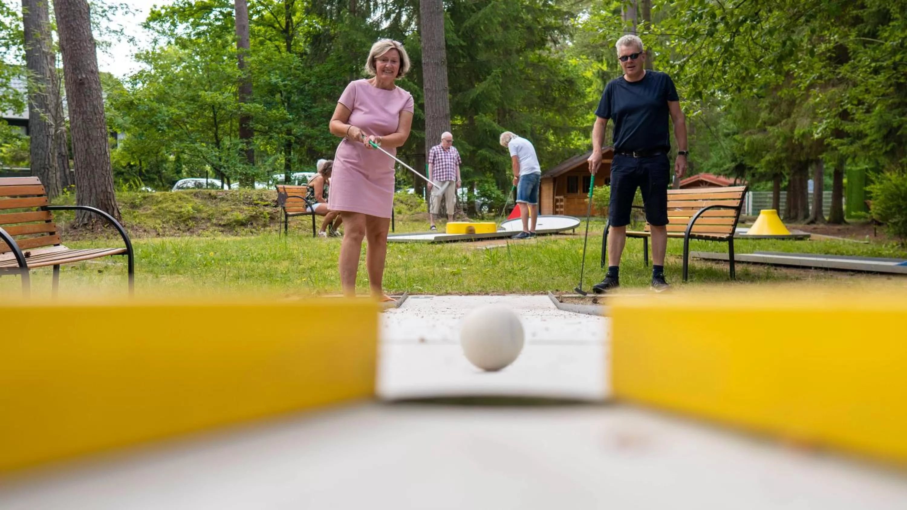 Minigolf in Hotel Zur Heidschnucke