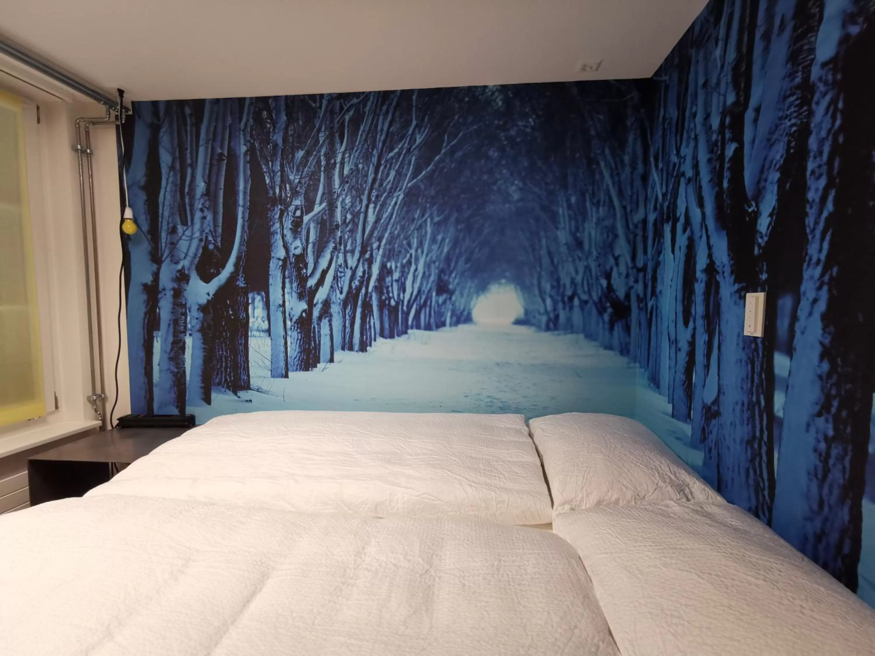 Bed in Boutique Hotel BS16 before Bern City Parking gratis