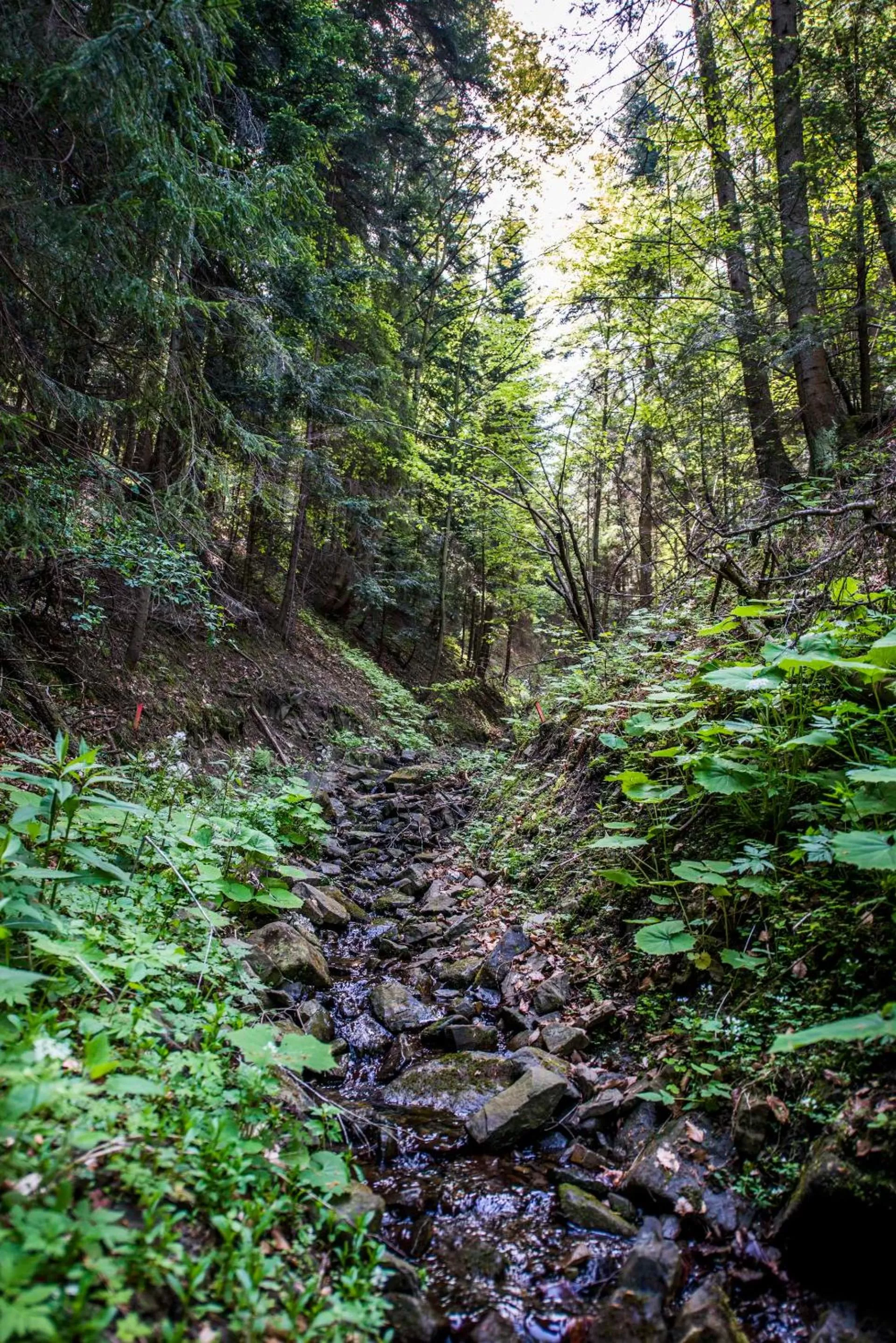 Other in Hotel Żywiecki Medical SPA & Sport Żywiec