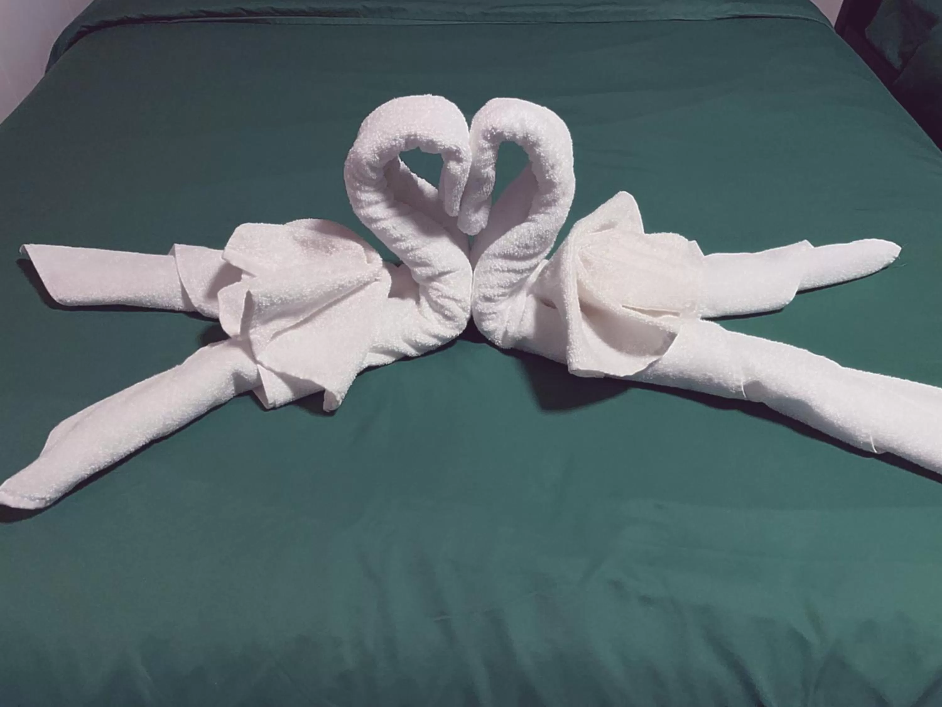 Bed in Stop 21 Motel