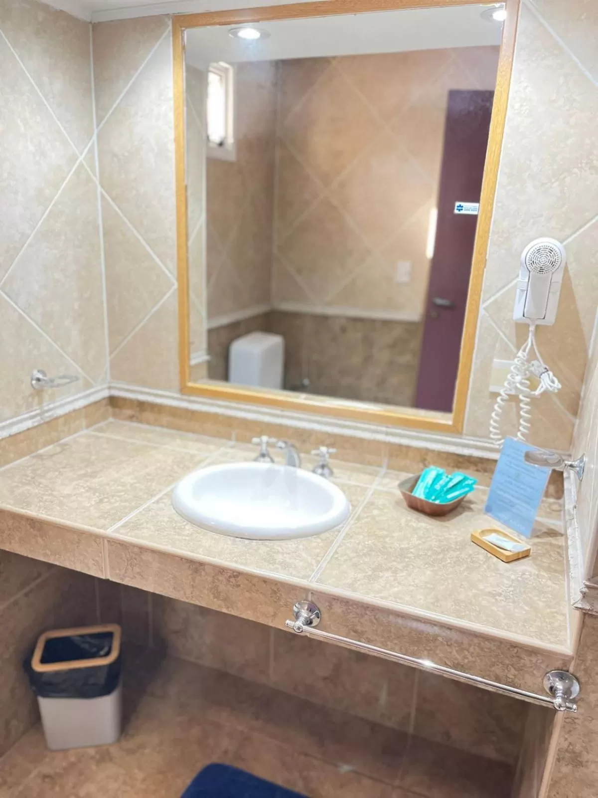 Bathroom in Hotel ATEPSA