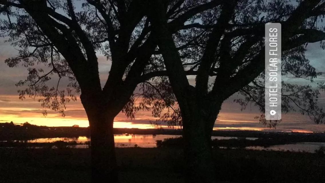 Hotel Solar Flores