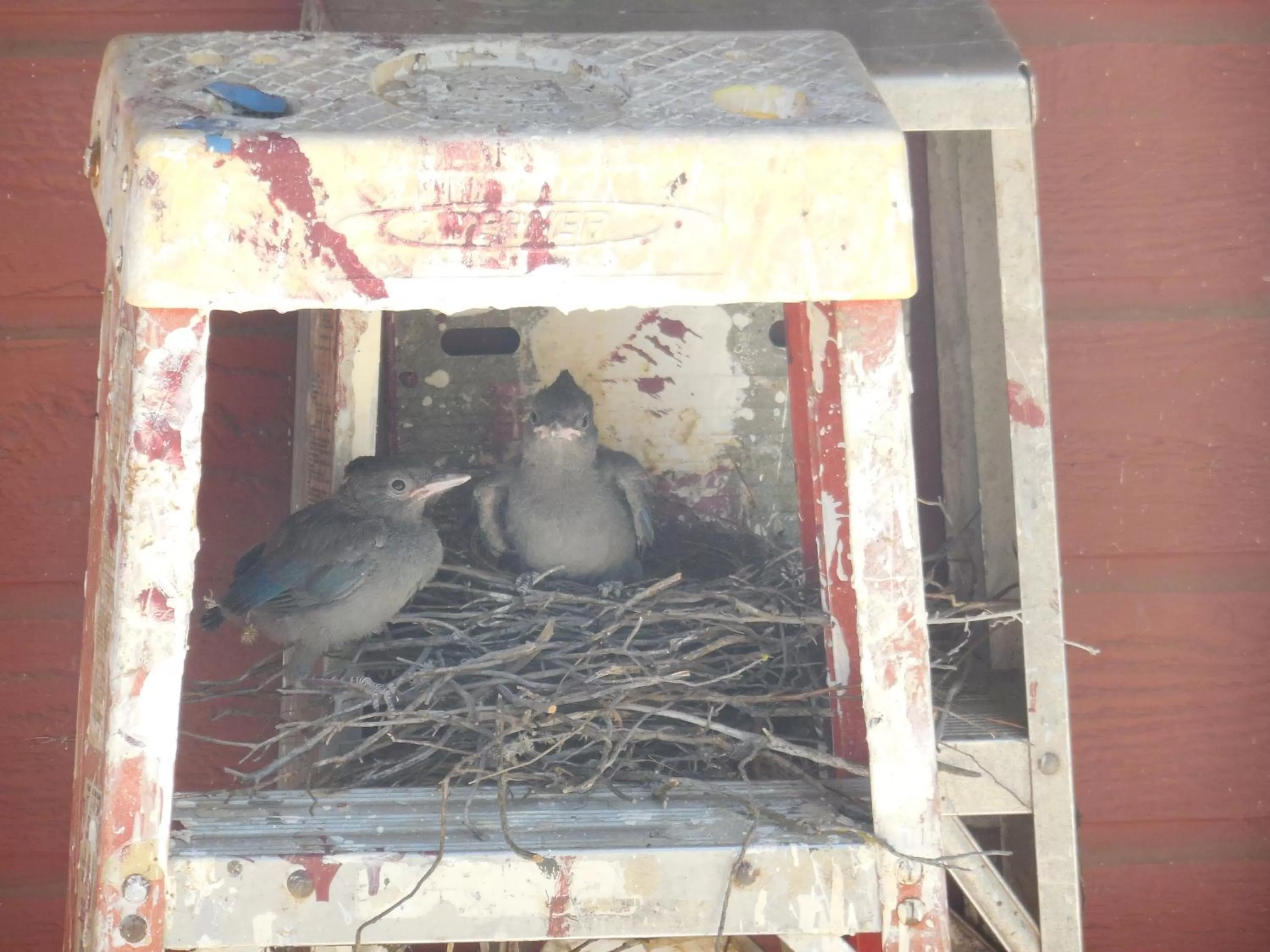 Other in Yosemite Paradise Inn