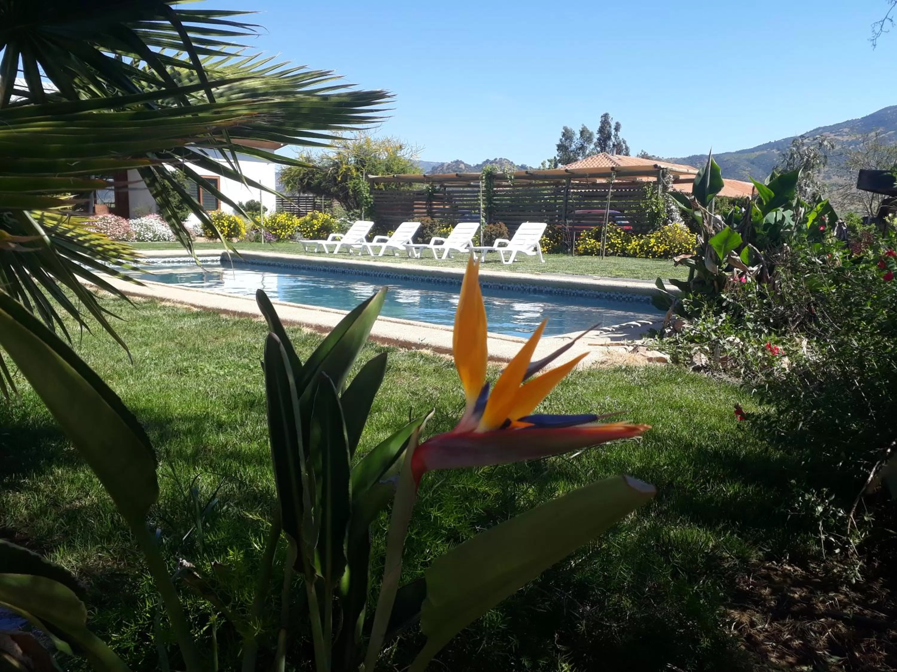 Garden view in Callihue Lodge