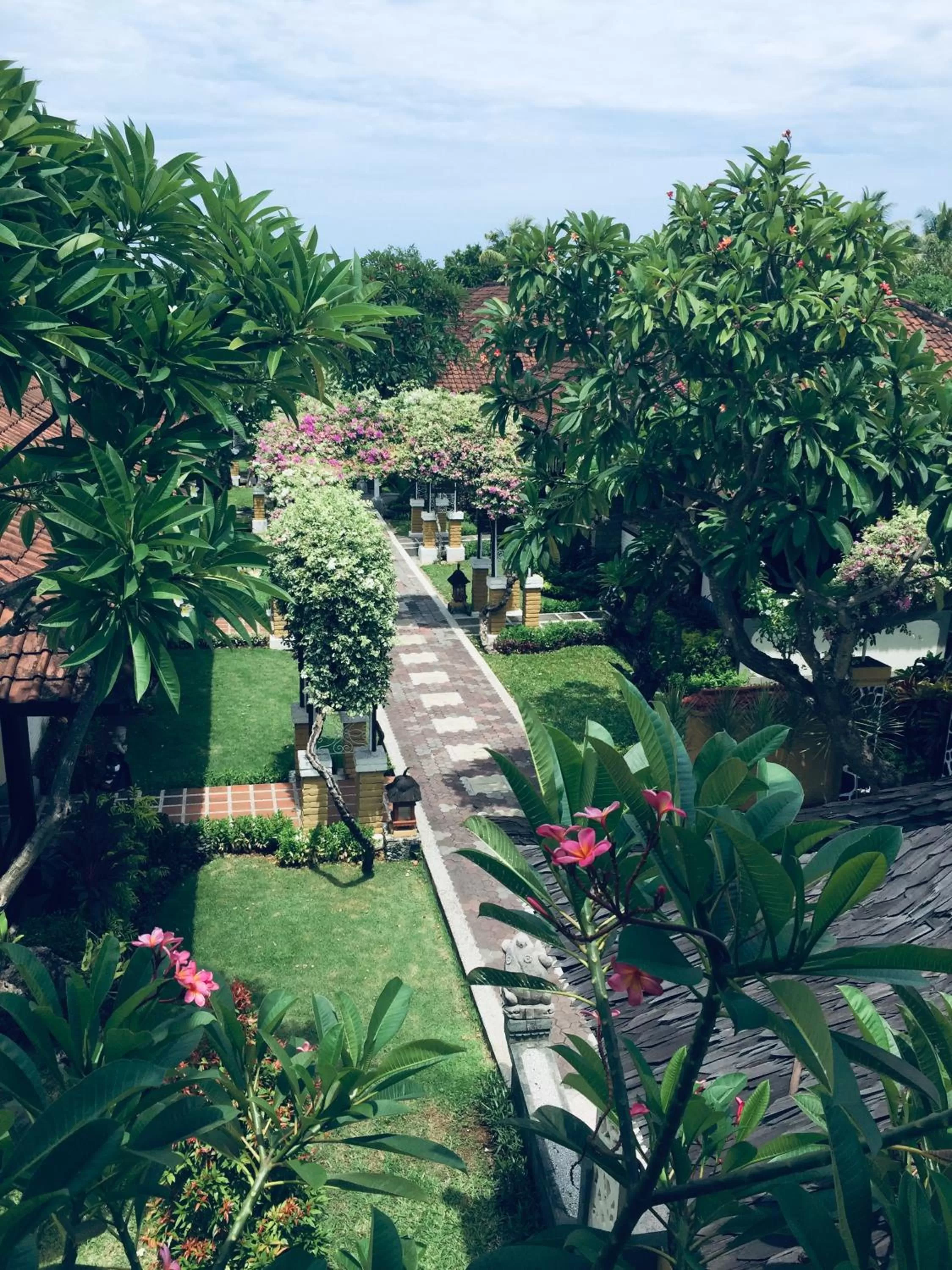 Garden in Bali Taman Beach Resort & Spa Lovina