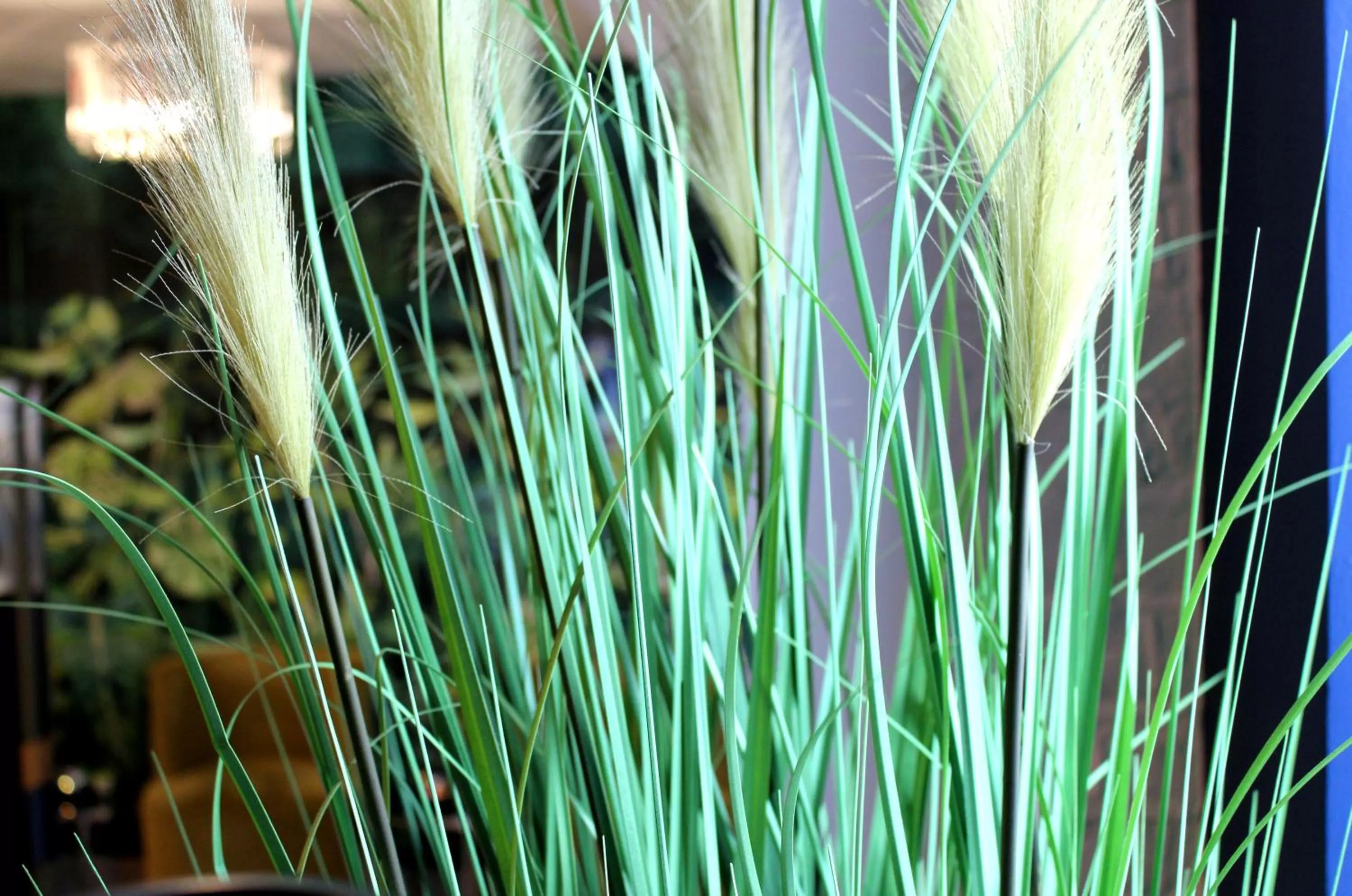 Lounge or bar in 1 Craven Hill Gardens