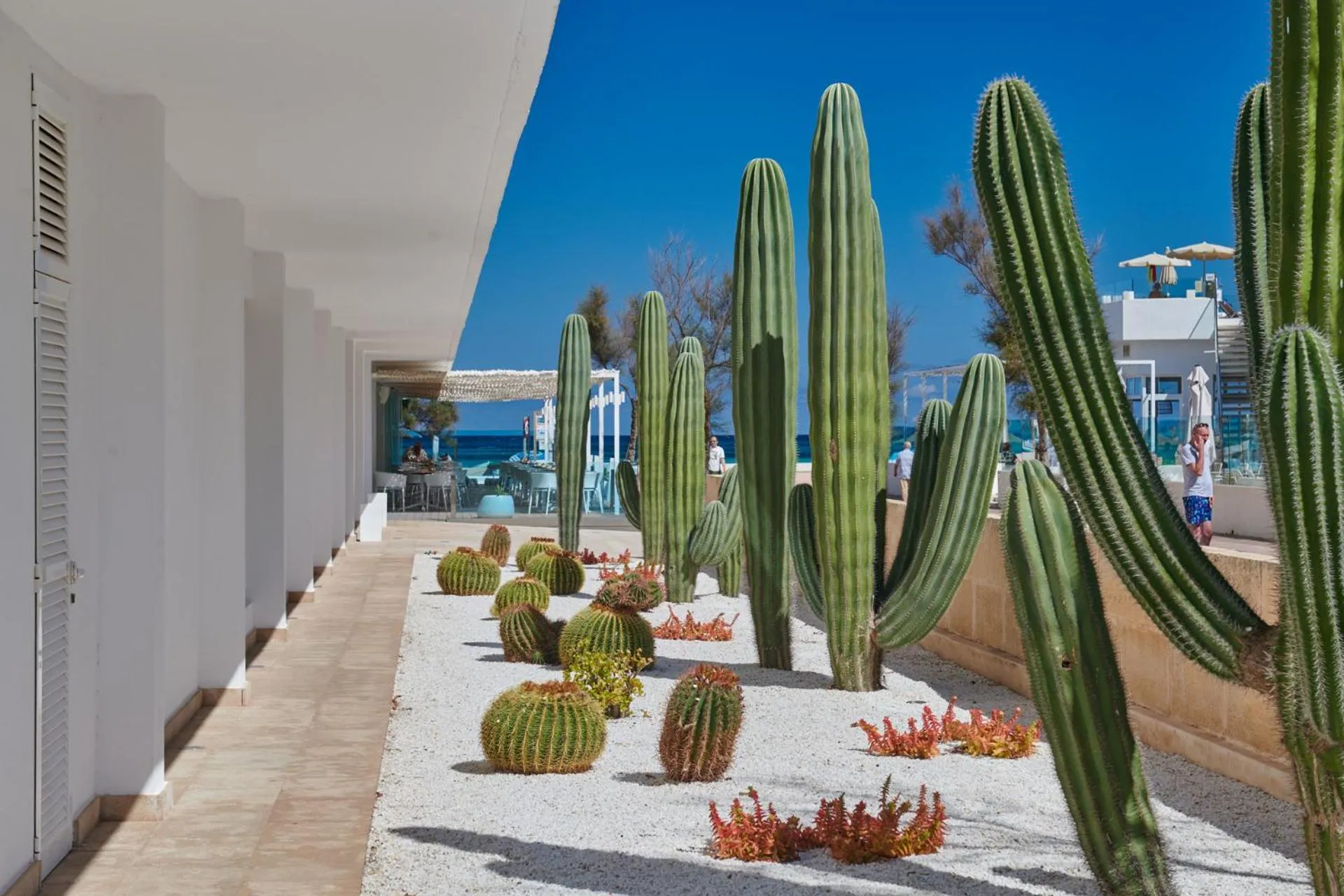 Garden in The Sea Hotel by Grupotel - Adults Only