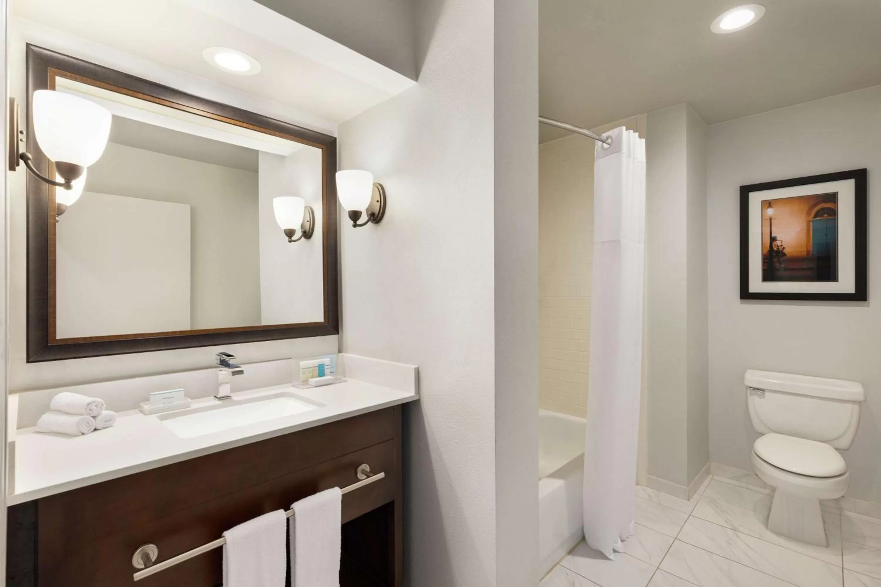 Bathroom in Hampton Inn and Suites New Orleans Convention Center