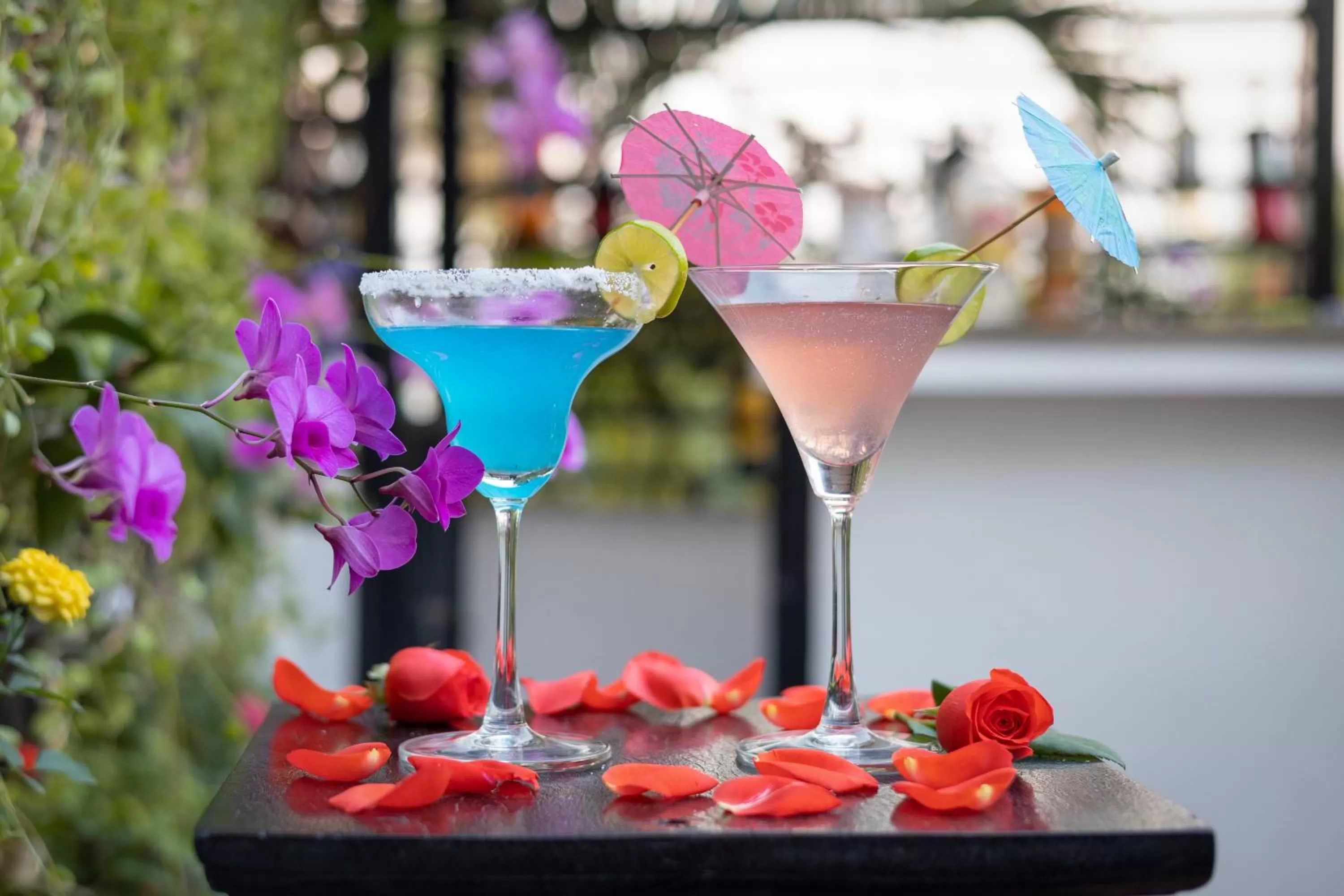 Lounge or bar in The Five Senses Boutique Hotel