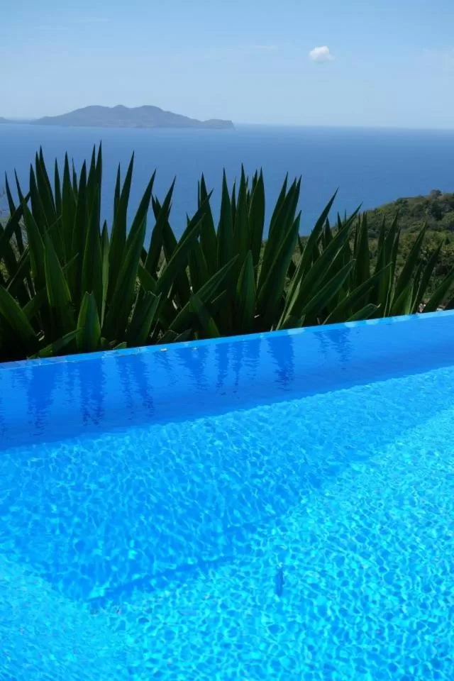 Day in Villa Cajou chambres d'hôtes chez l'habitant et Zanzibar cottage