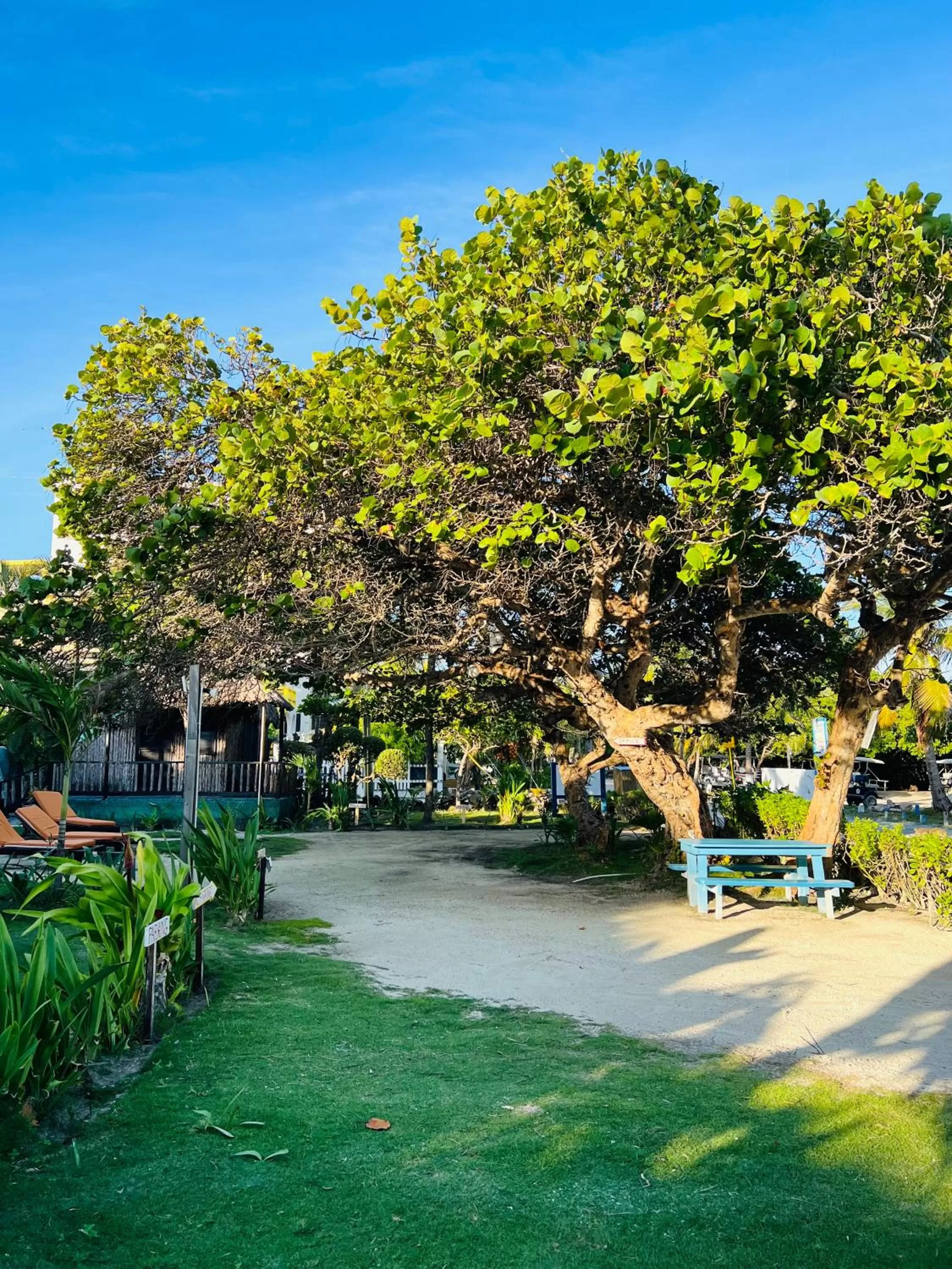 Other in Hotel Del Rio