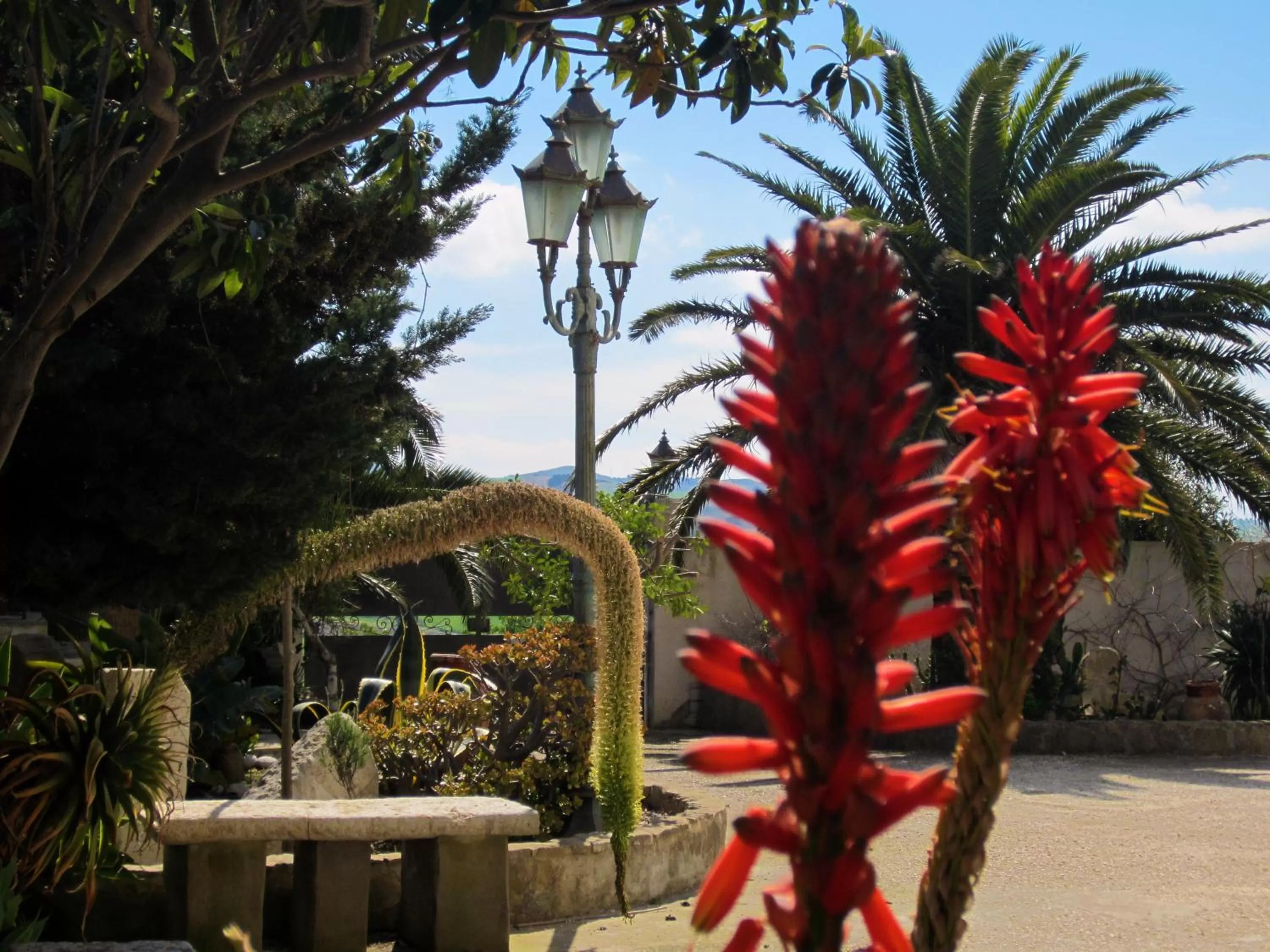 Facade/entrance in Xanadu - Villa Giardinata