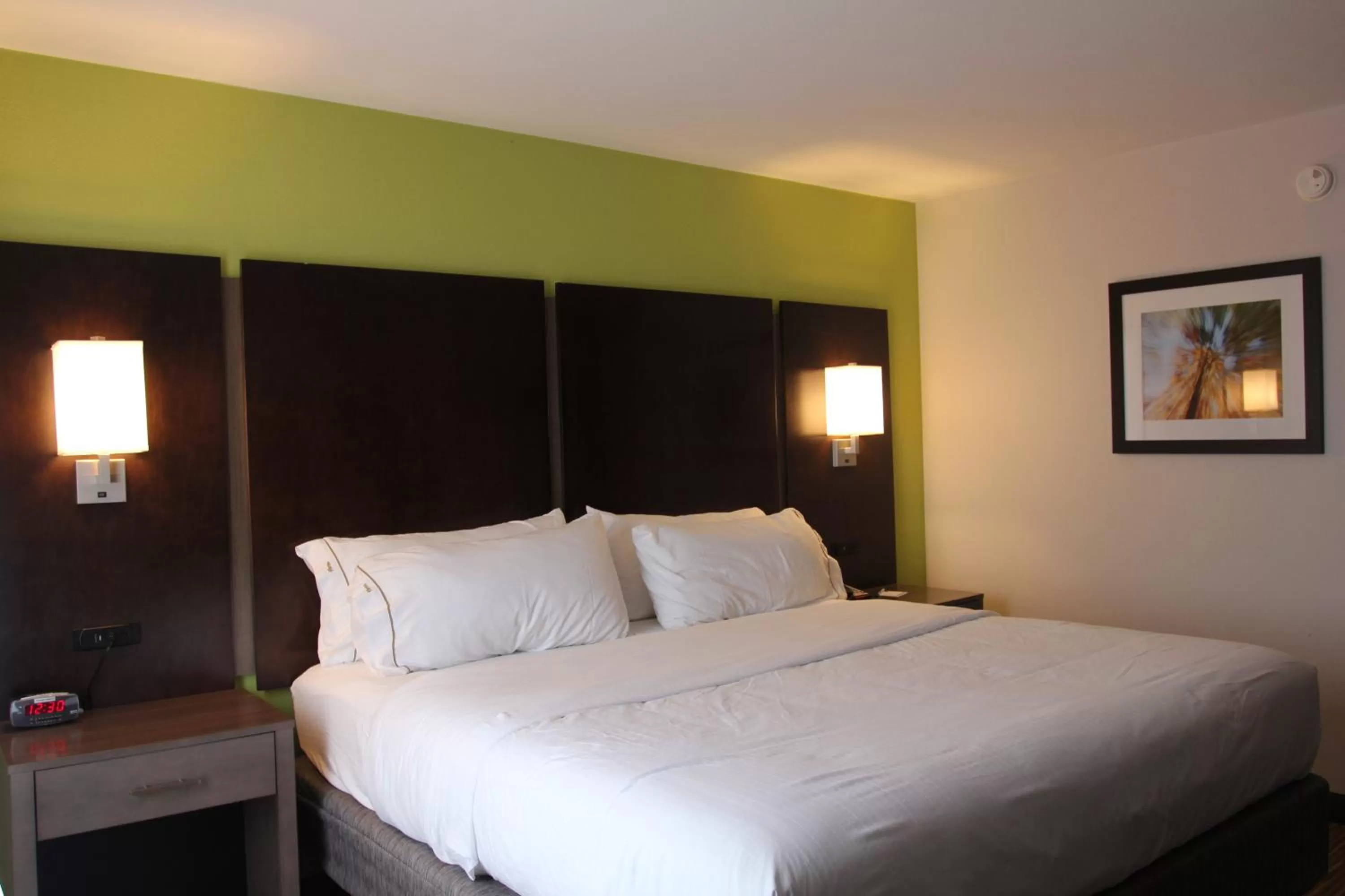 Photo of the whole room, Bed in Holiday Inn Express & Suites Sweetwater by IHG