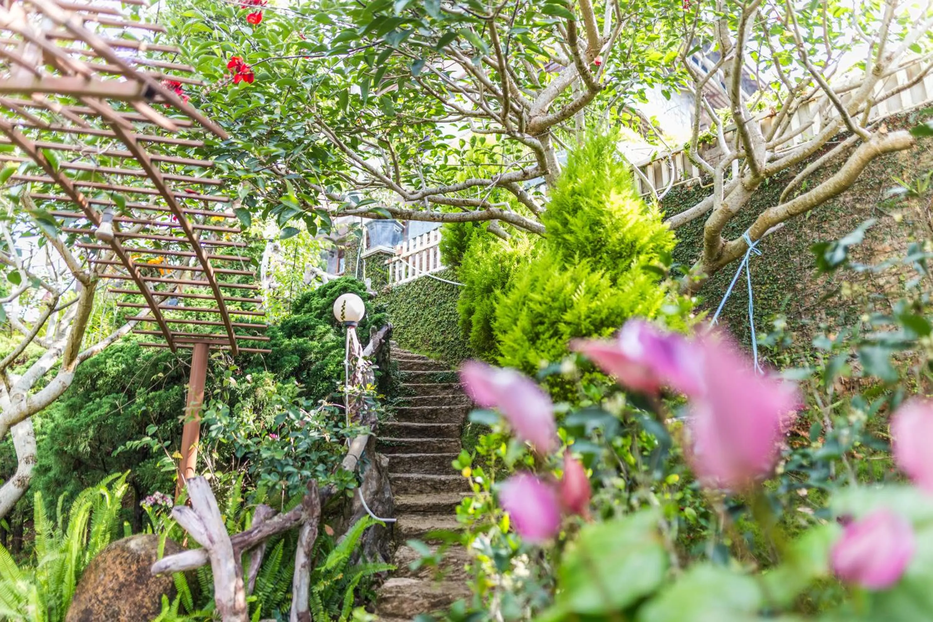 Garden in Zen Valley Dalat