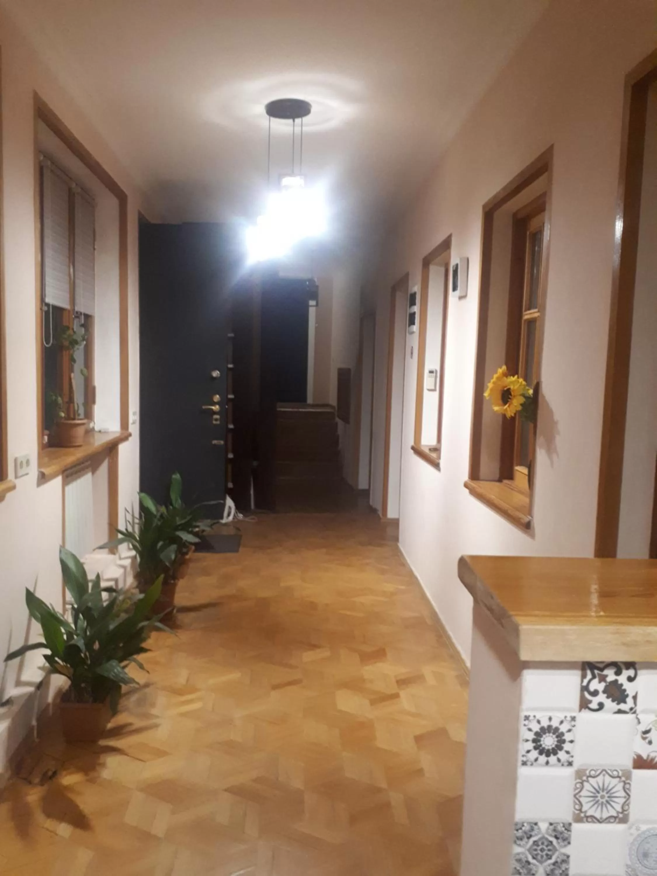 Facade/entrance in Sunflower Hotel