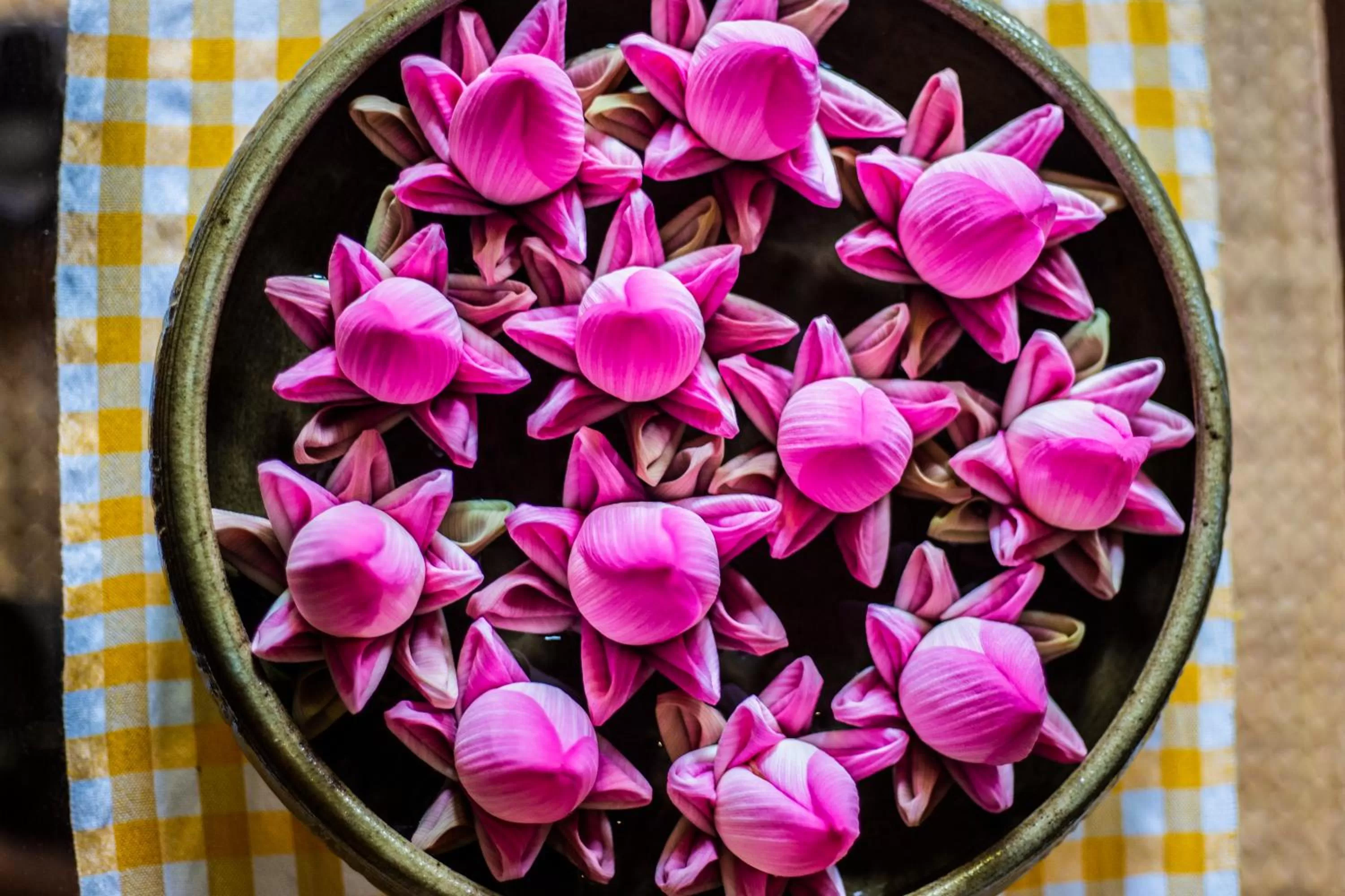 Spa and wellness centre/facilities in Won Residence & Spa