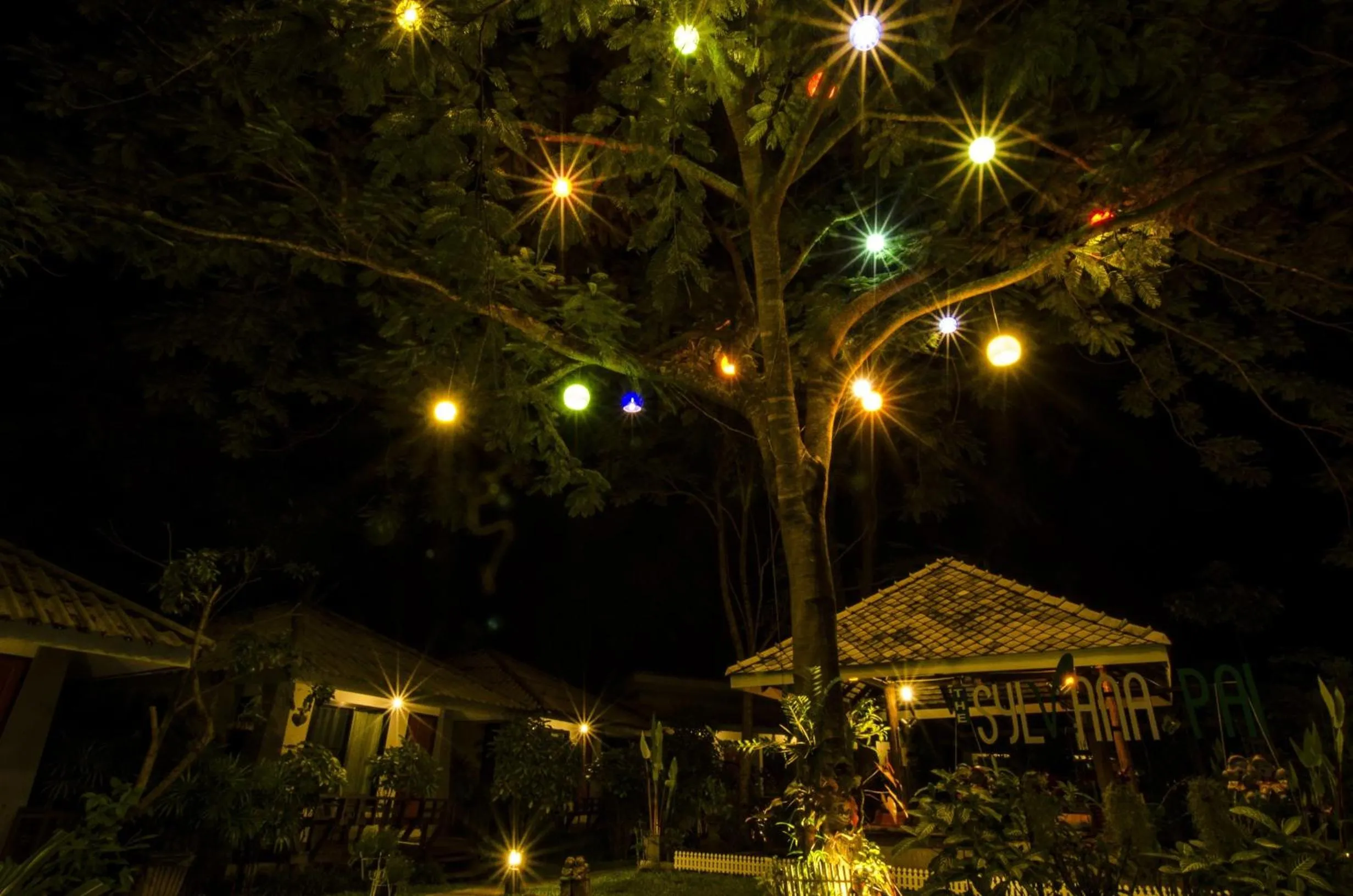 Natural landscape in The Sylvana Pai