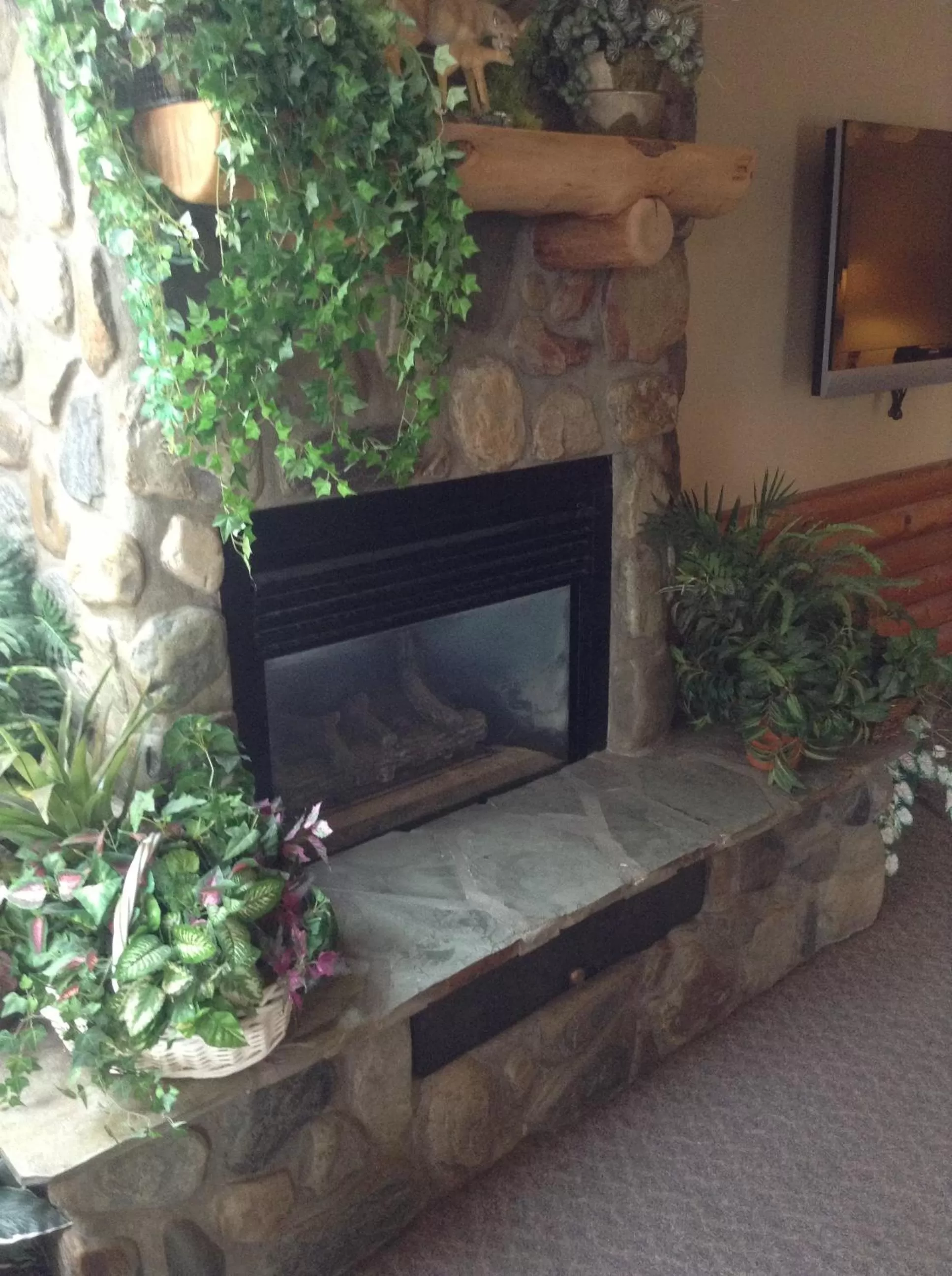 Decorative detail in Days Inn by Wyndham Sandpoint