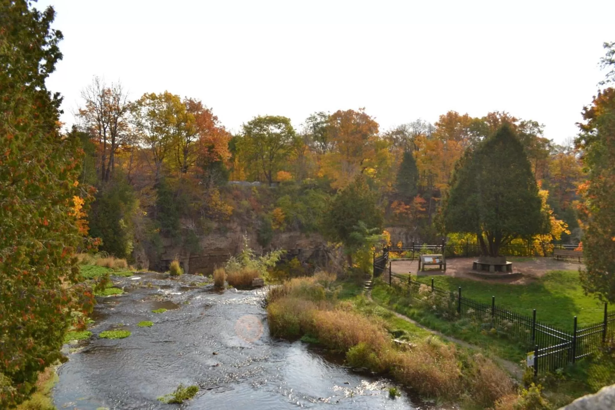Area and facilities in Staybridge Suites Hamilton - Downtown by IHG