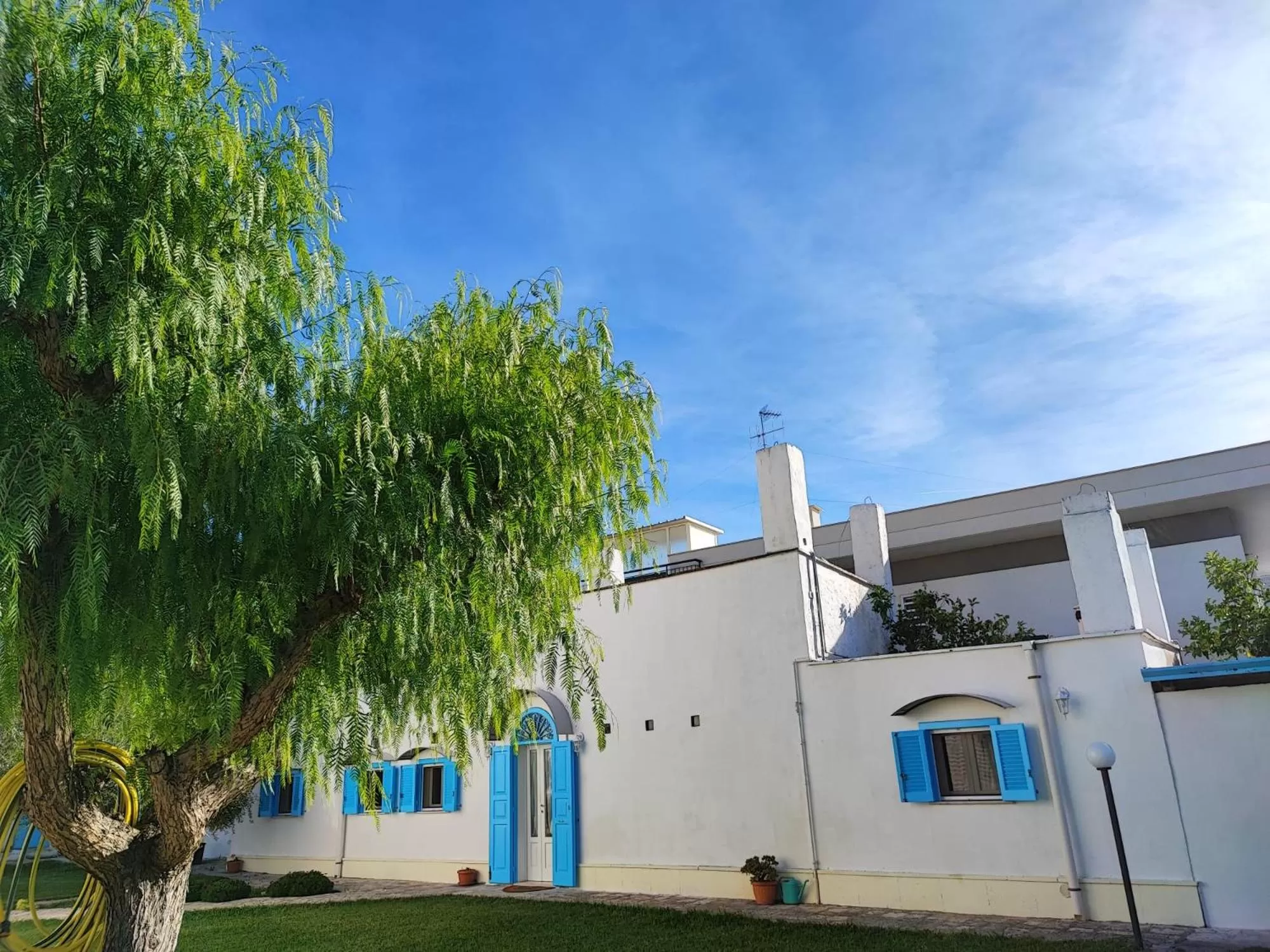 Property Building in Tronchetto bianco