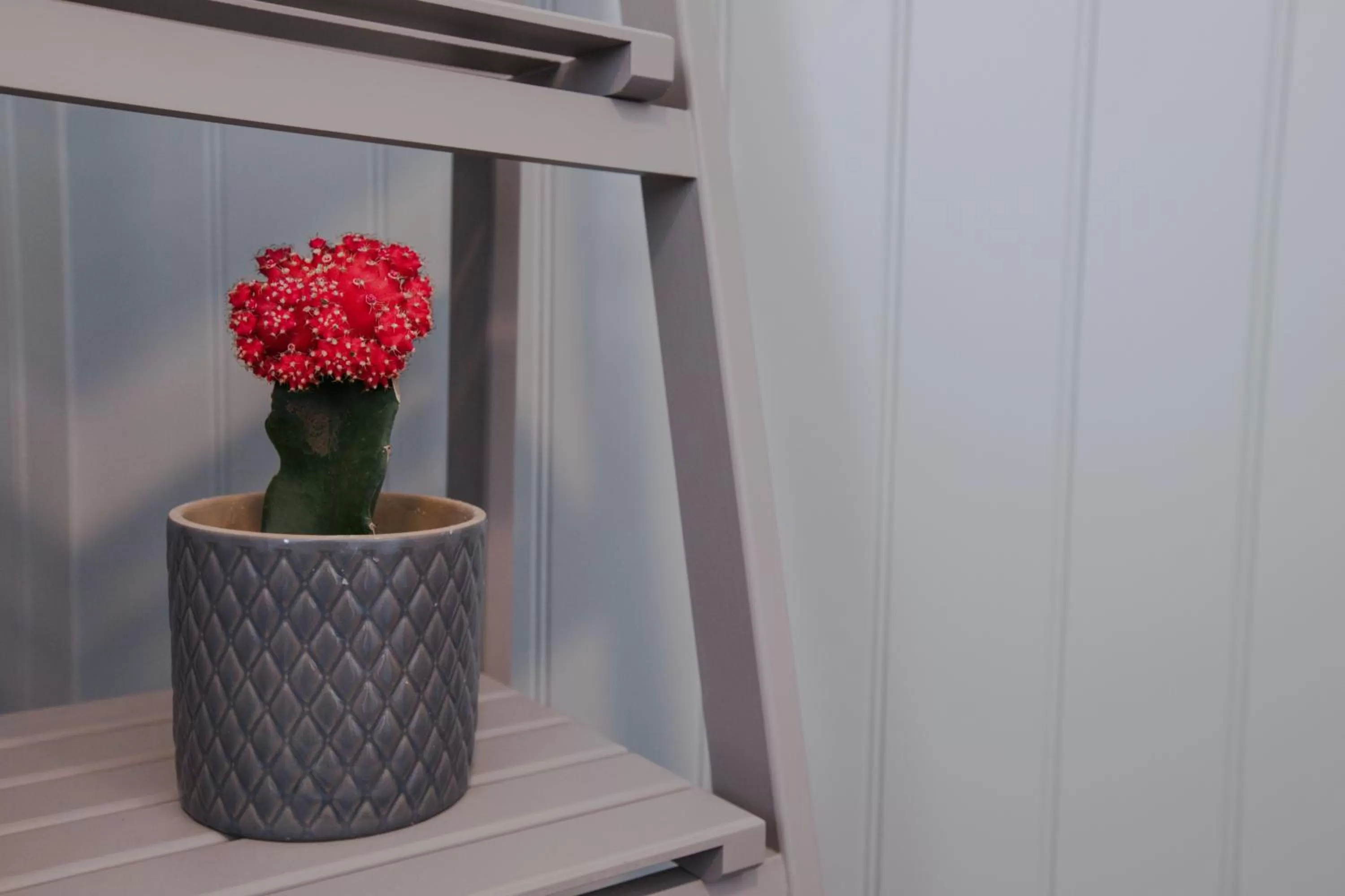 The Wheatsheaf Pub, Kitchen & Rooms