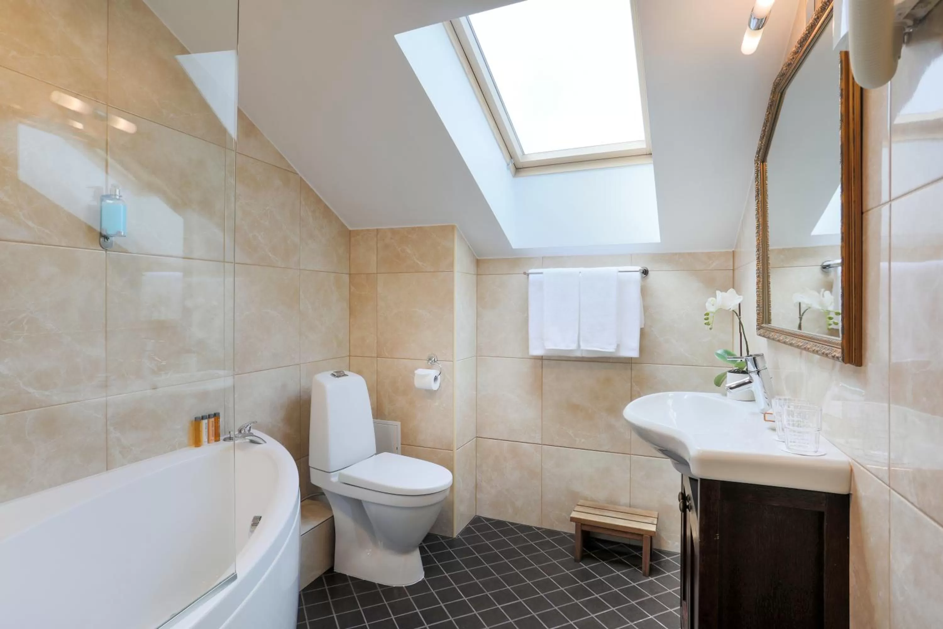 Toilet in The von Stackelberg Hotel Tallinn