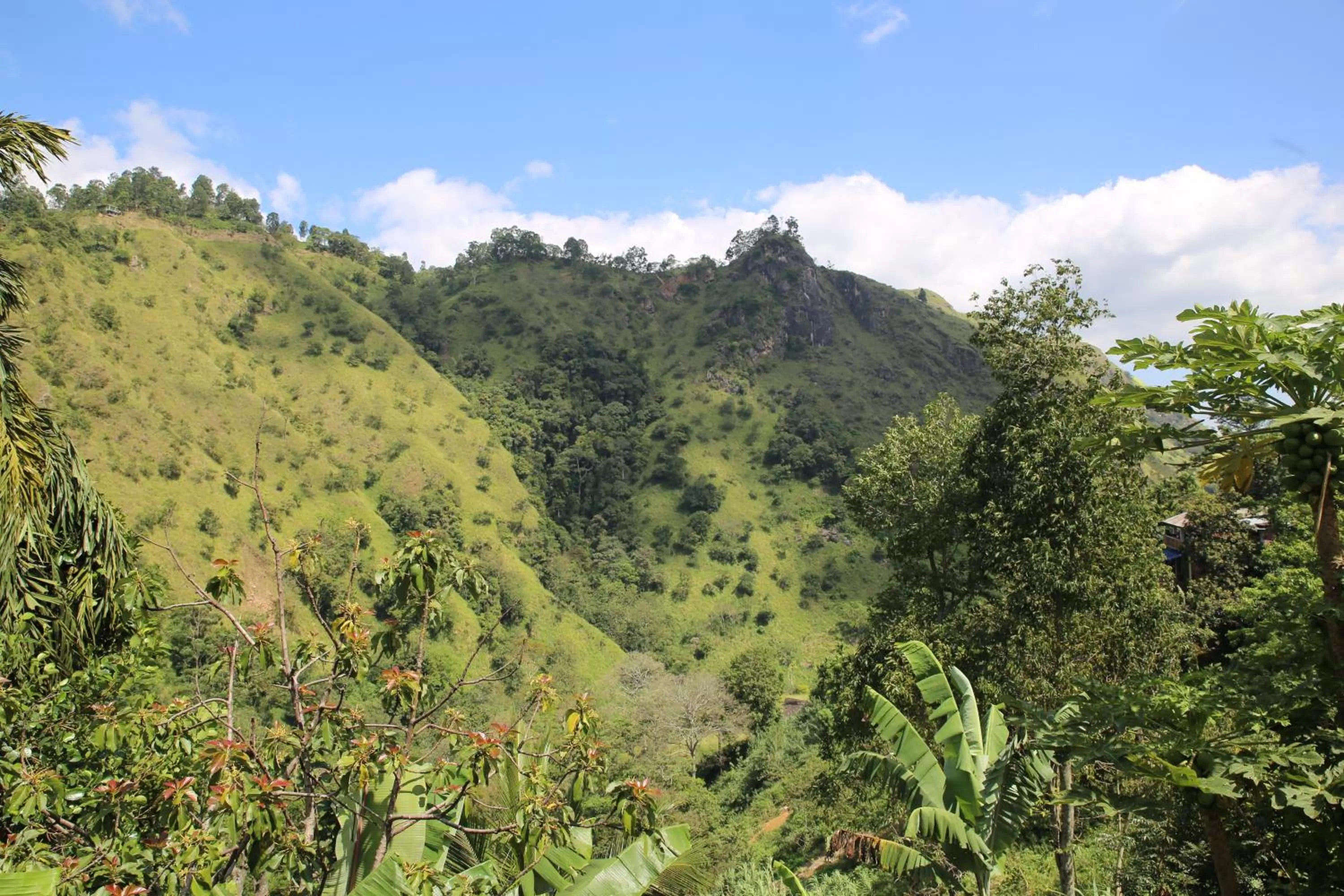 Nearby landmark in Ella River Face Inn
