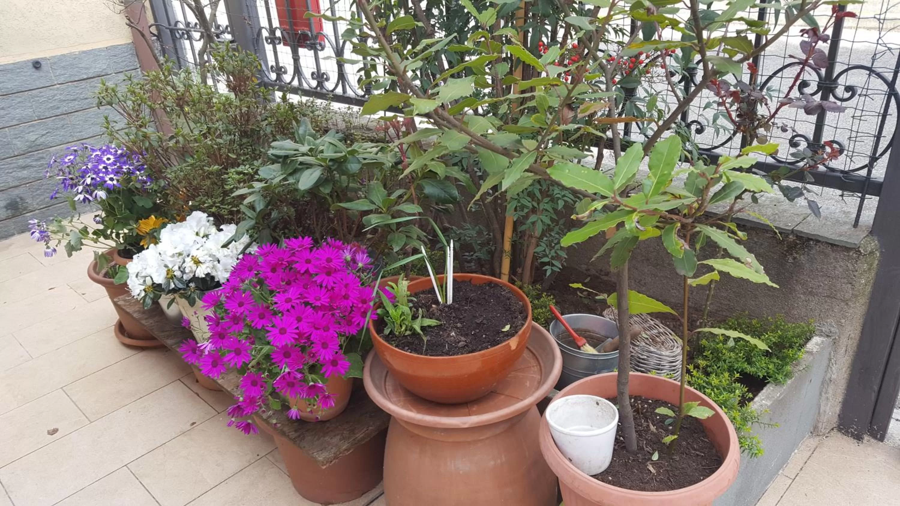 Decorative detail in Monteceneri 9 B&b