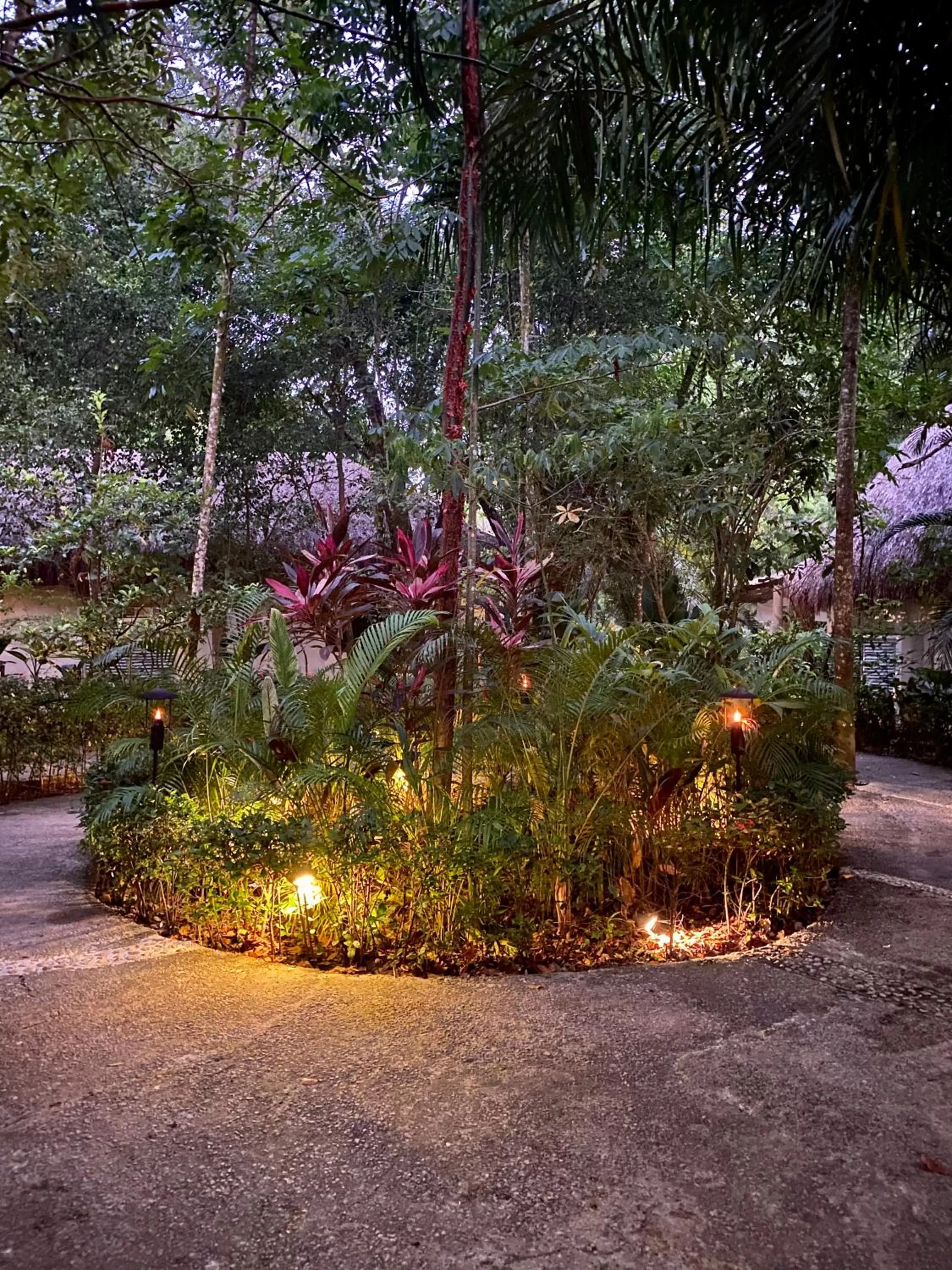 Patio in Piedra de Agua Palenque