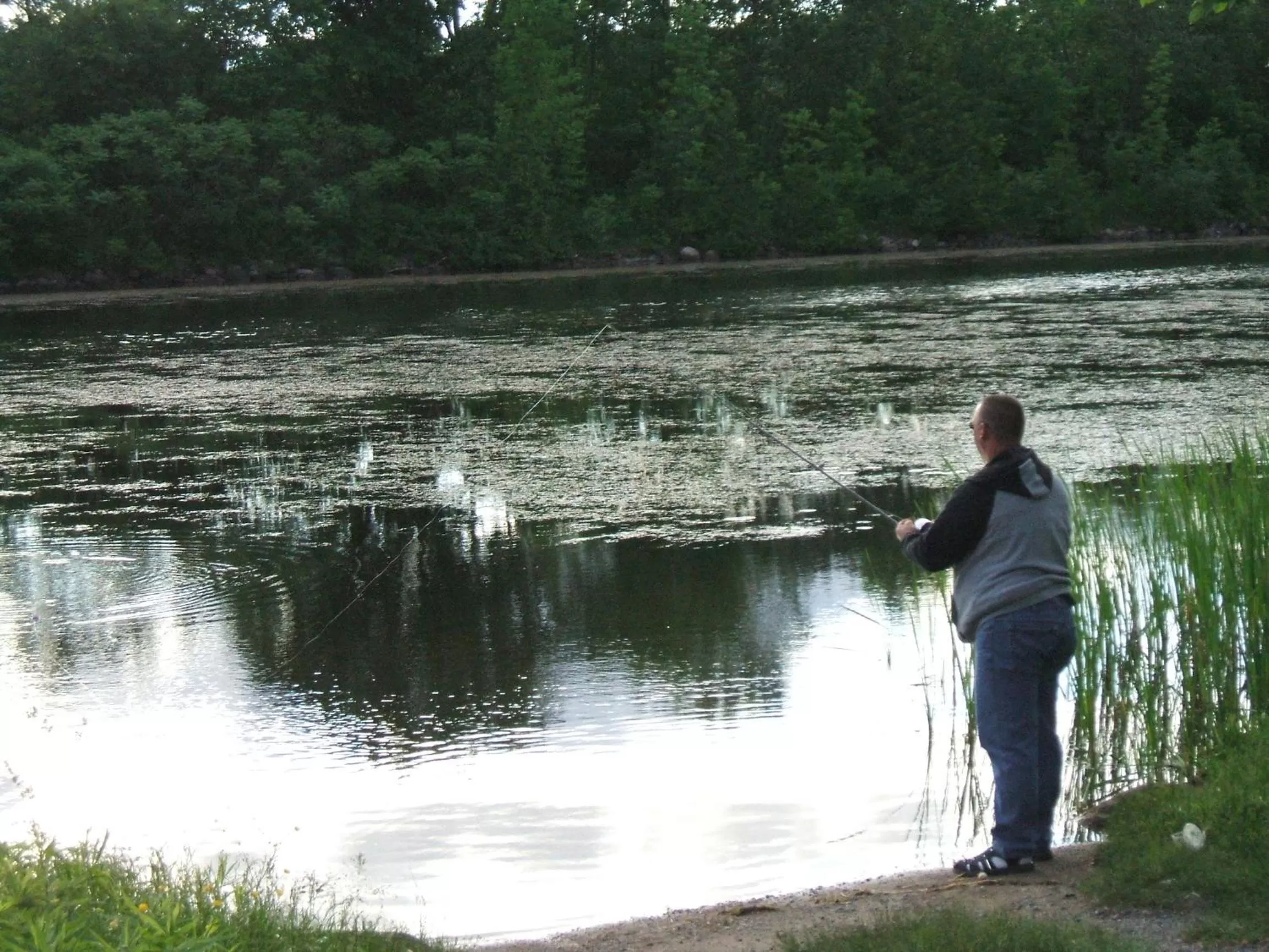 Activities in Liftlock Guest House