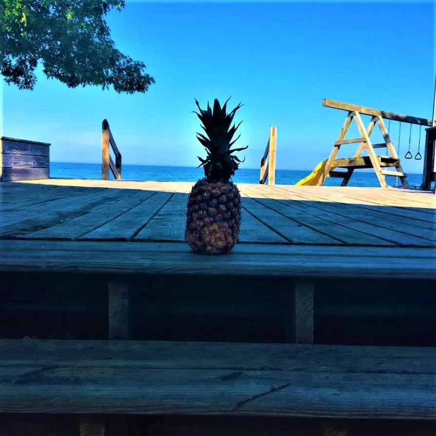 Beach in Gold Coast Family Cottages