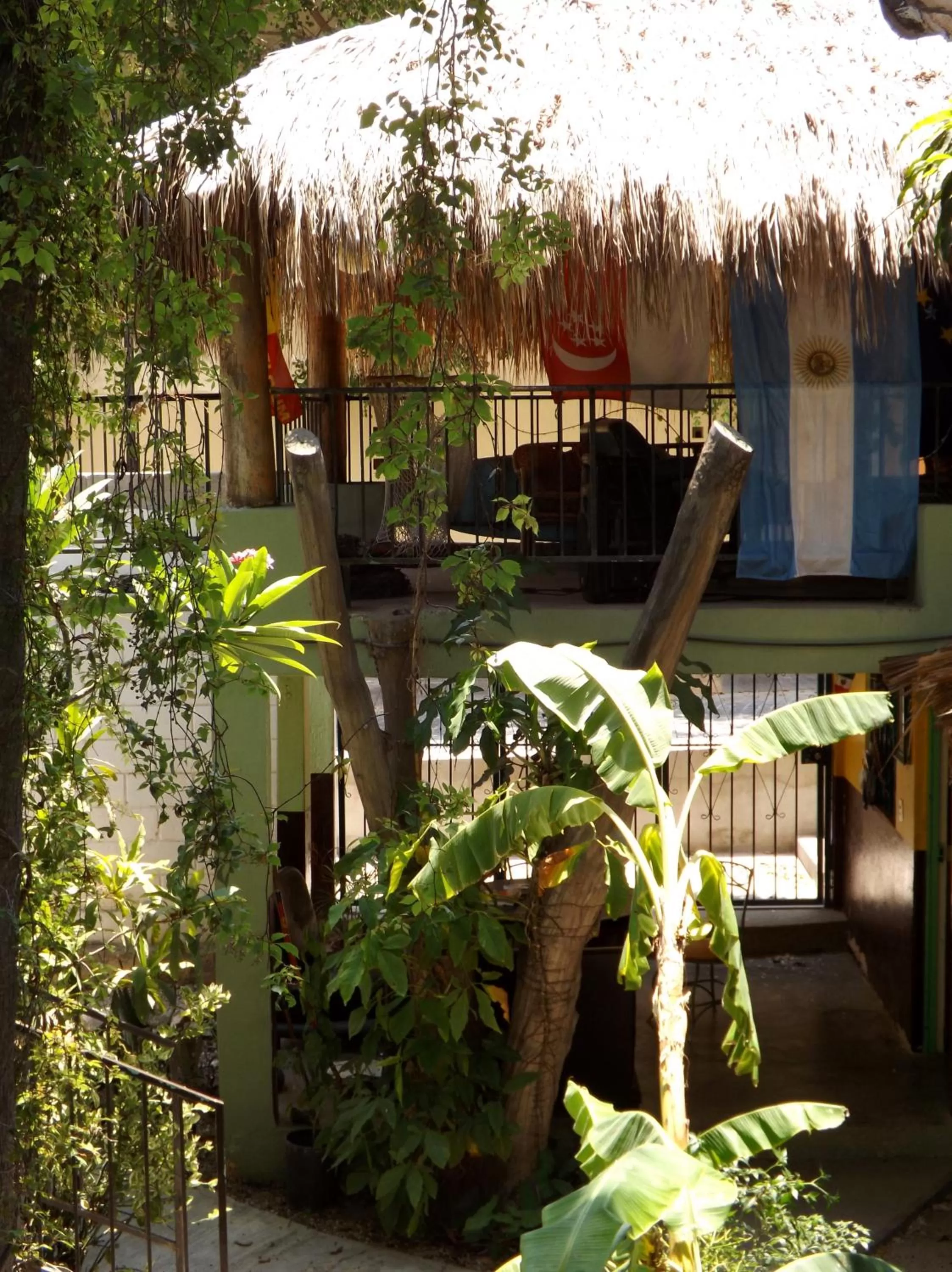 Library in Hotel Posada Señor Mañana