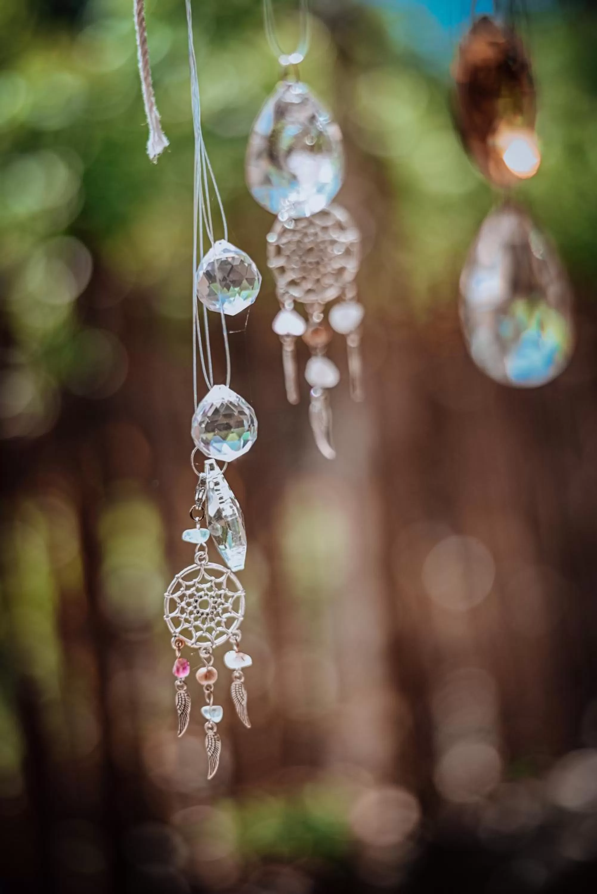 Decorative detail, Other Animals in Lunita Jungle Experience