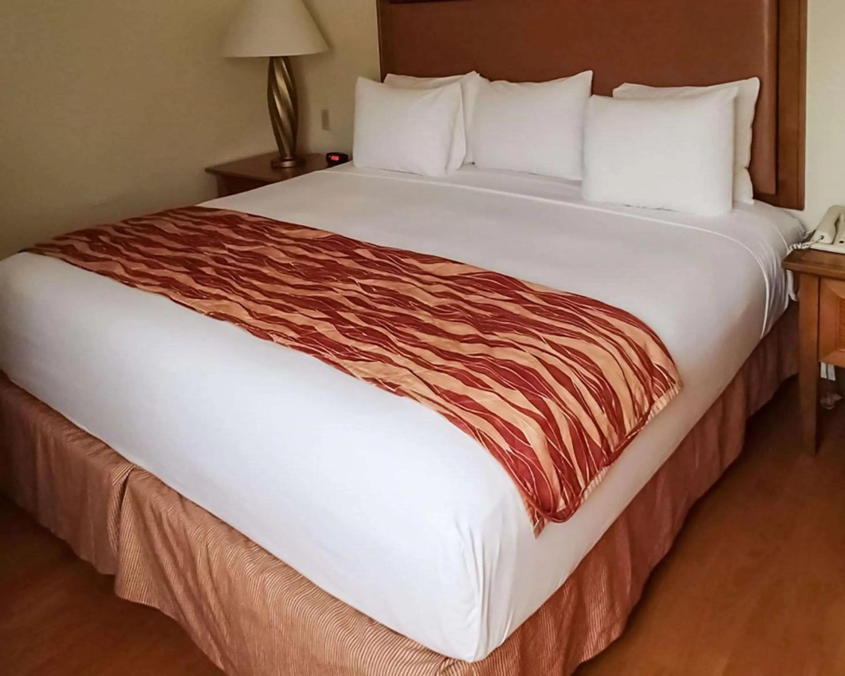 Photo of the whole room, Bed in Rodeway Inn South Miami - Coral Gables