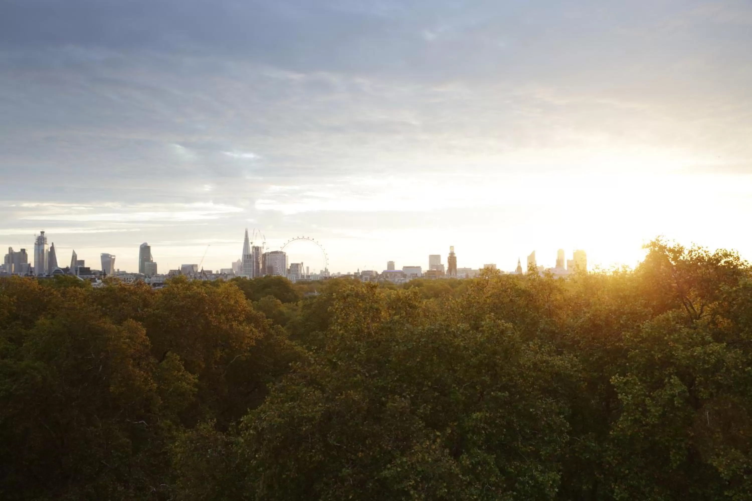Nearby landmark in The Athenaeum Hotel & Residences