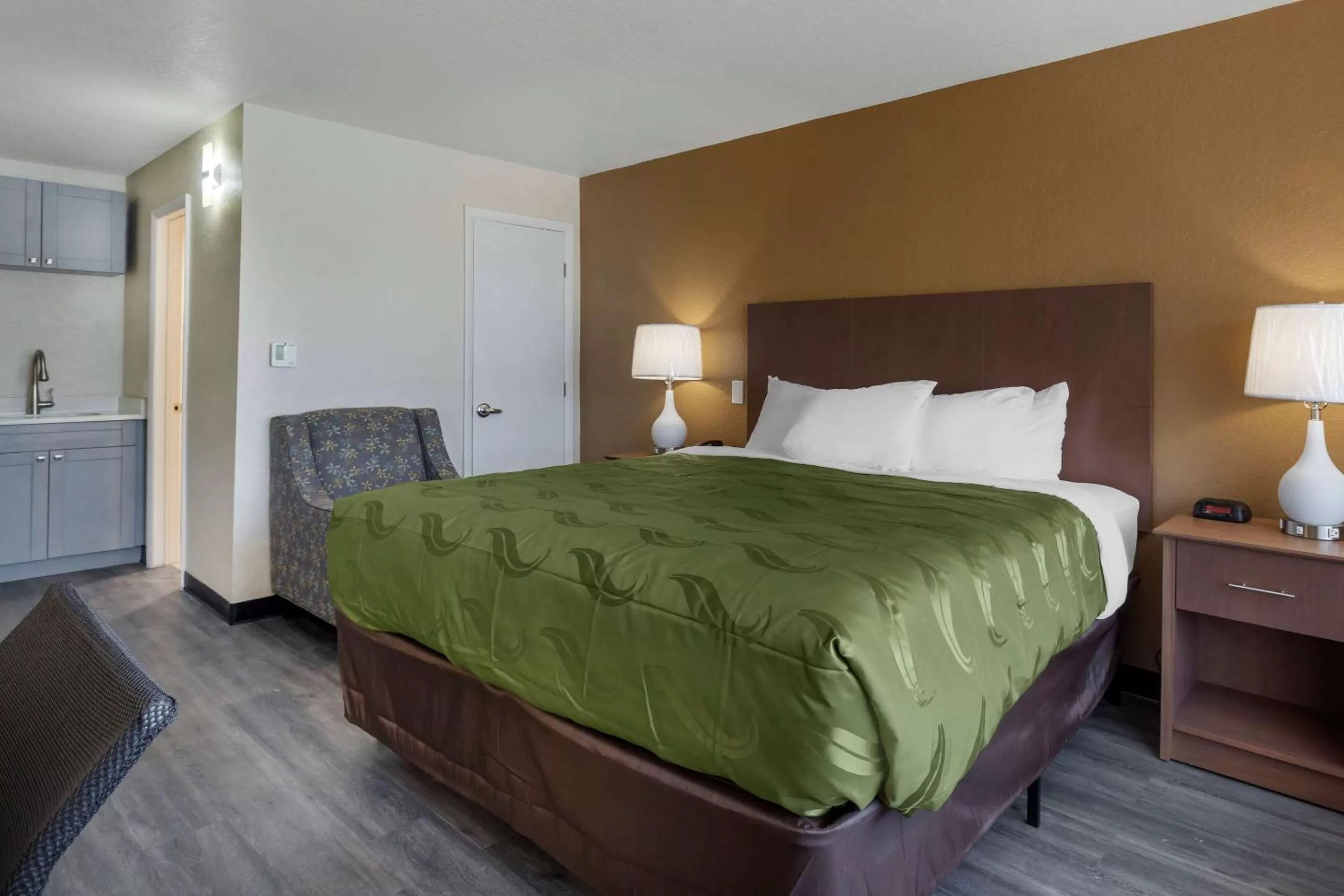 Photo of the whole room, Bed in Quality Inn Saint Petersburg North-Tampa Bay