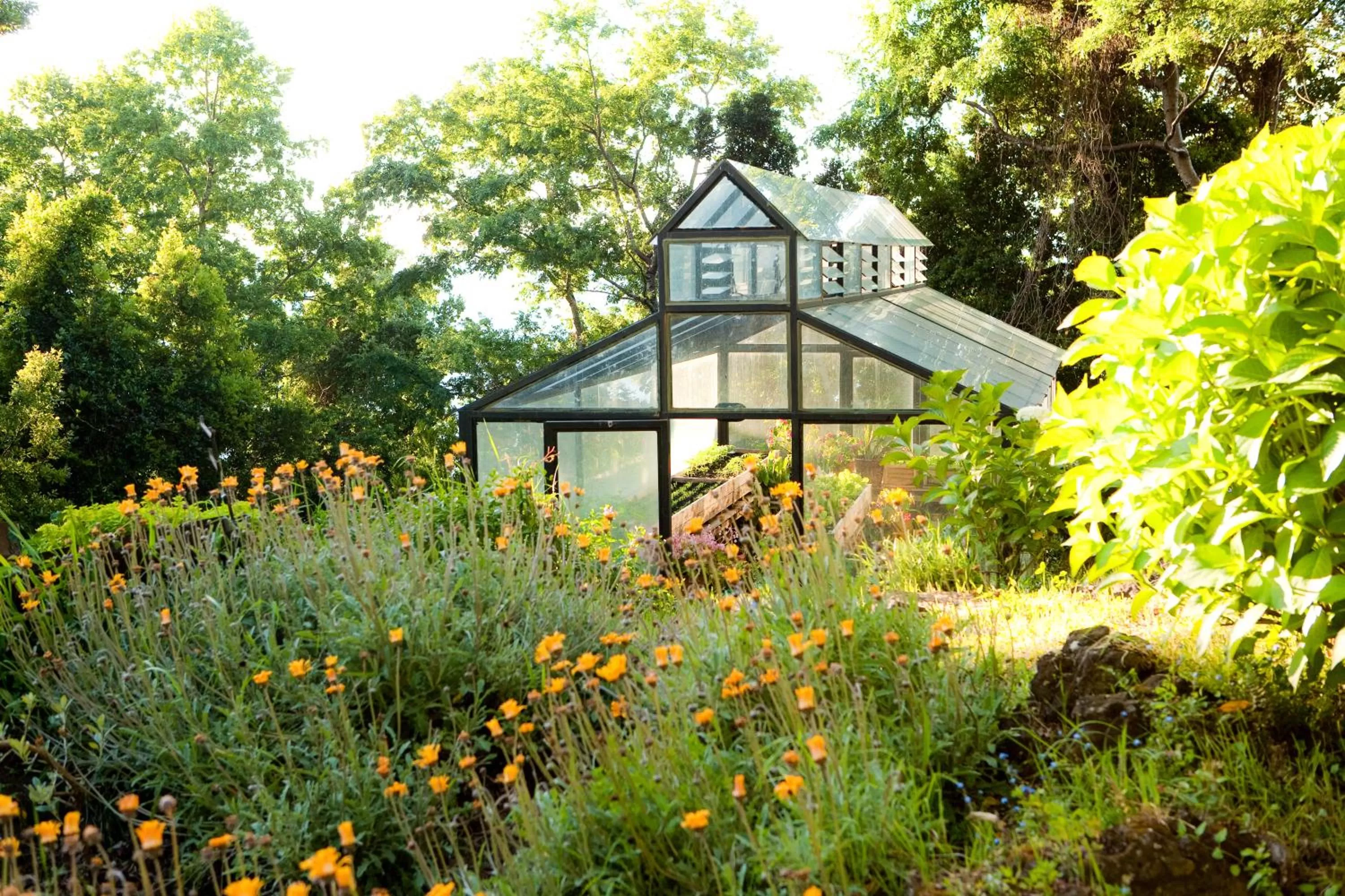 Garden in Hotel Antumalal
