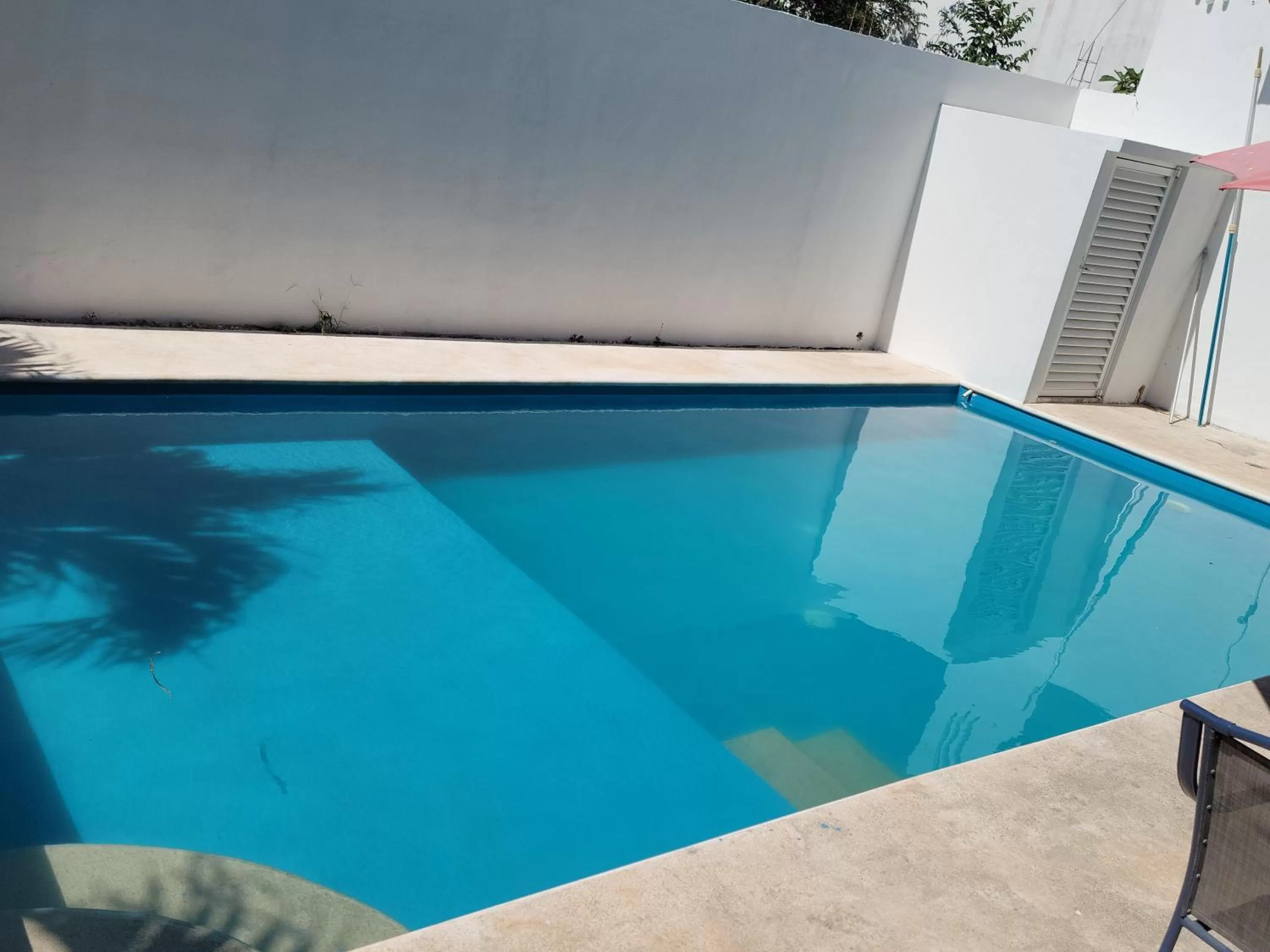 Pool view in hotel stella maris tulum