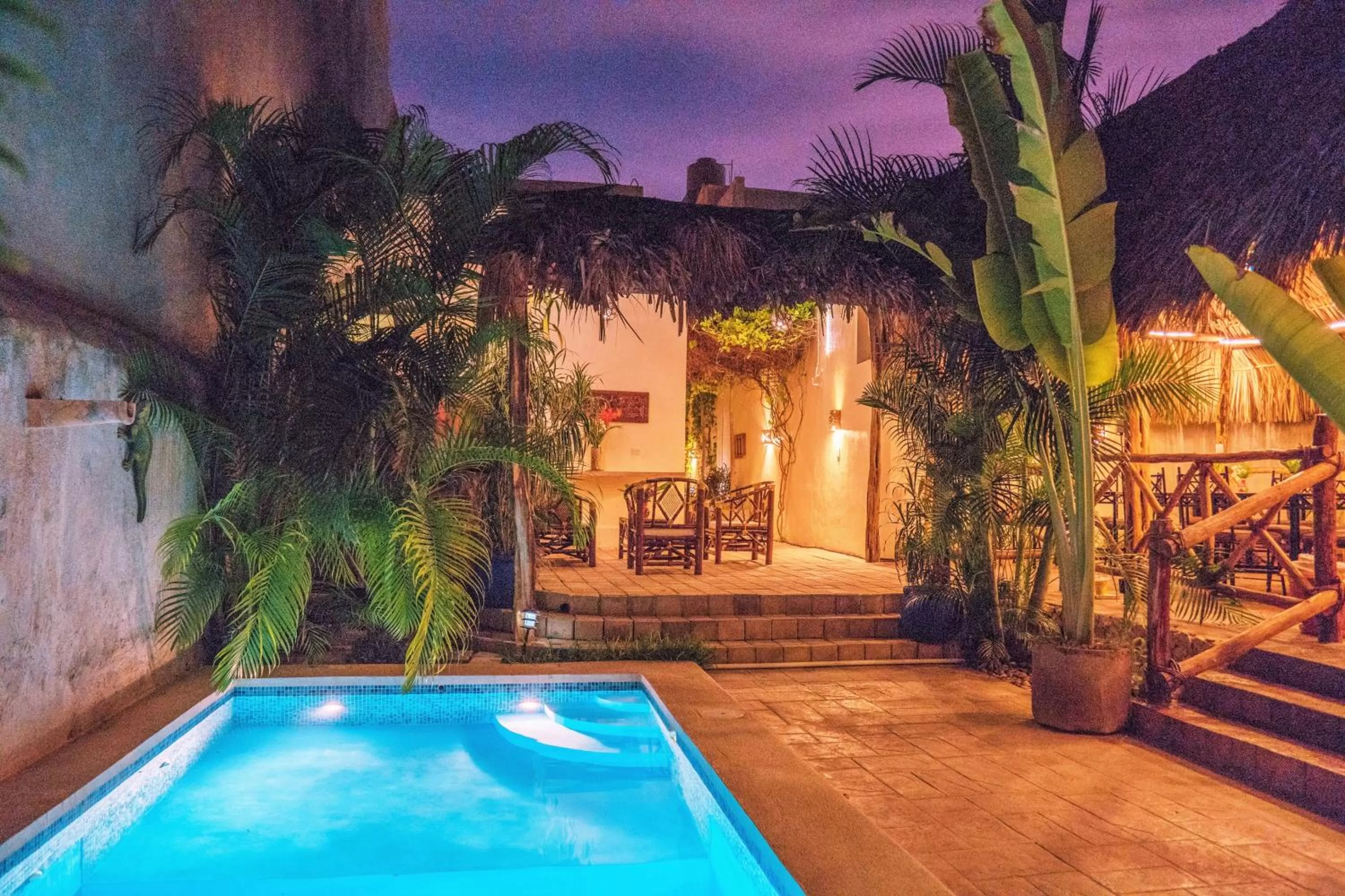 Garden view in Casa Del Maya Bed & Breakfast