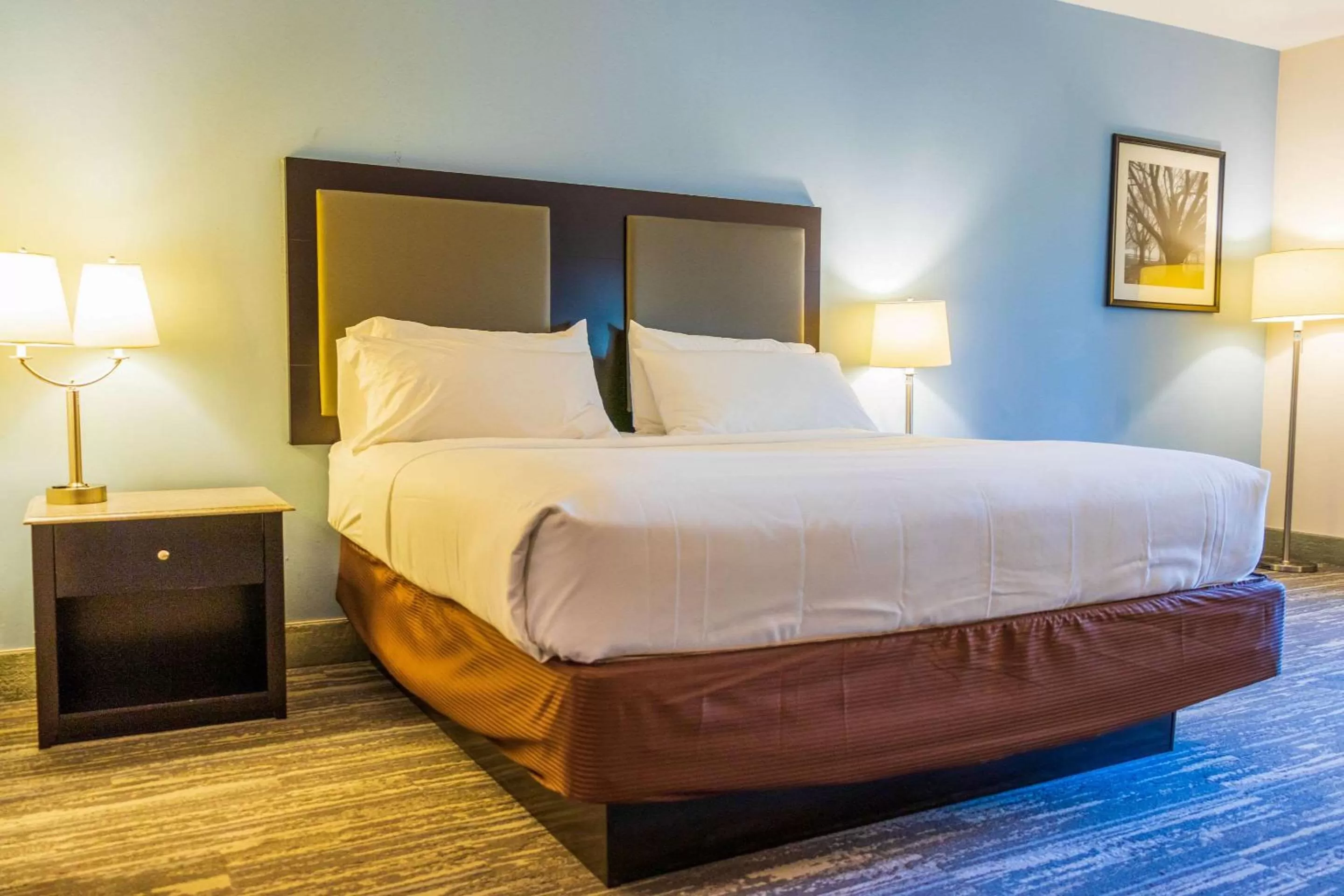 Standard Queen Room - Non-Smoking in Comfort Inn & Suites Plainville-Foxboro