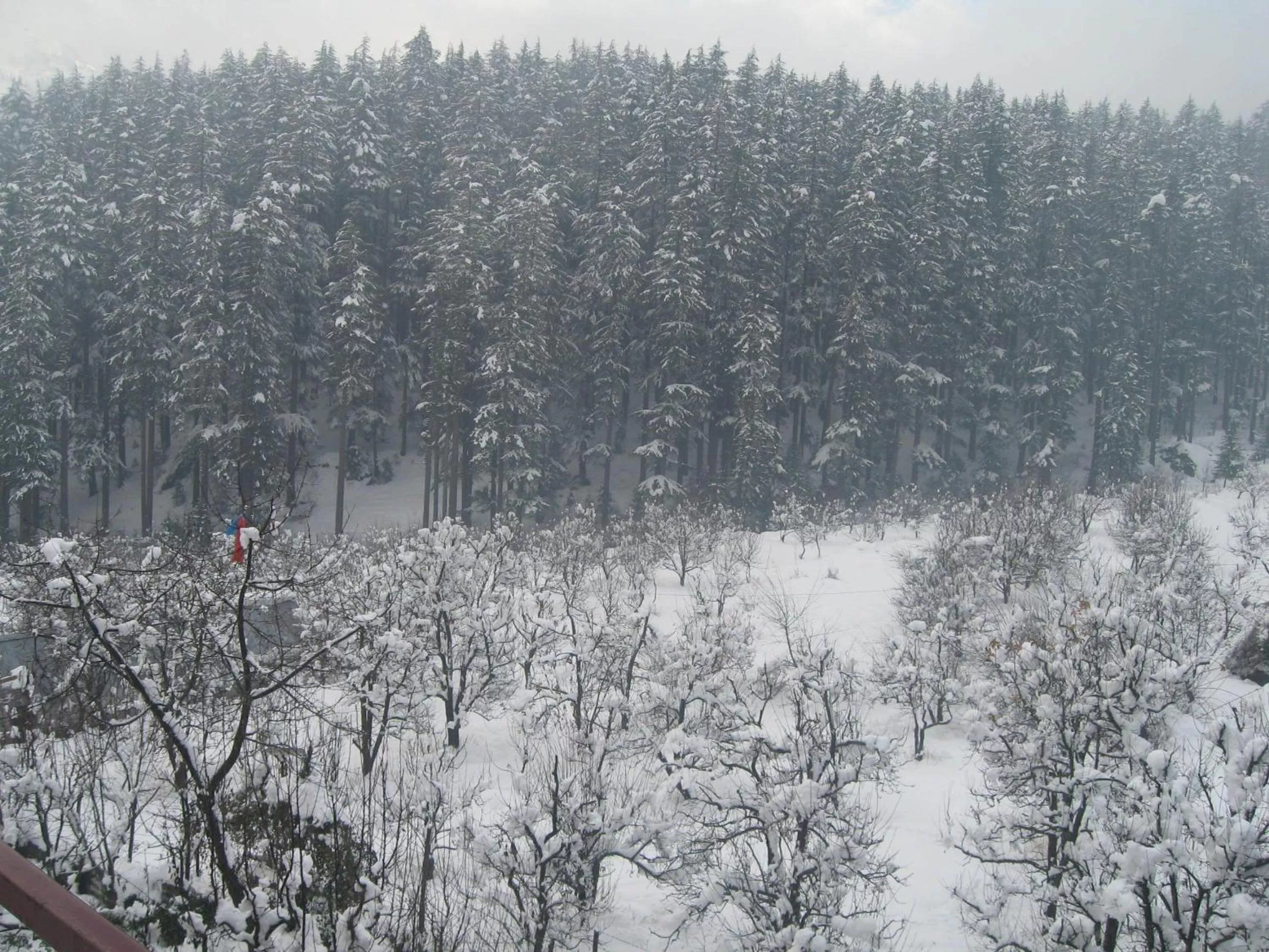Natural landscape, Winter in Snow Valley Resorts & Spa Manali