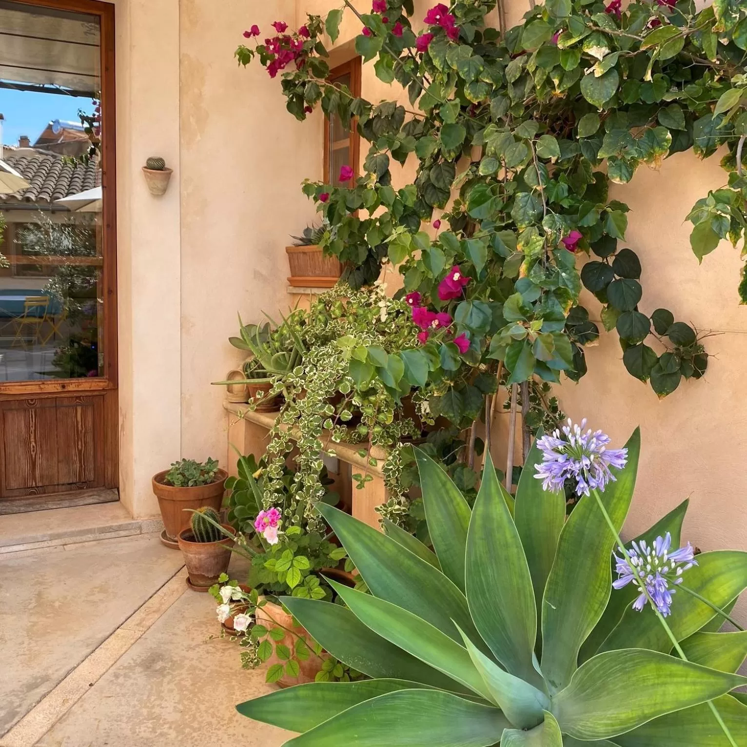 Patio in Vista de la Vila - Turismo de interior.