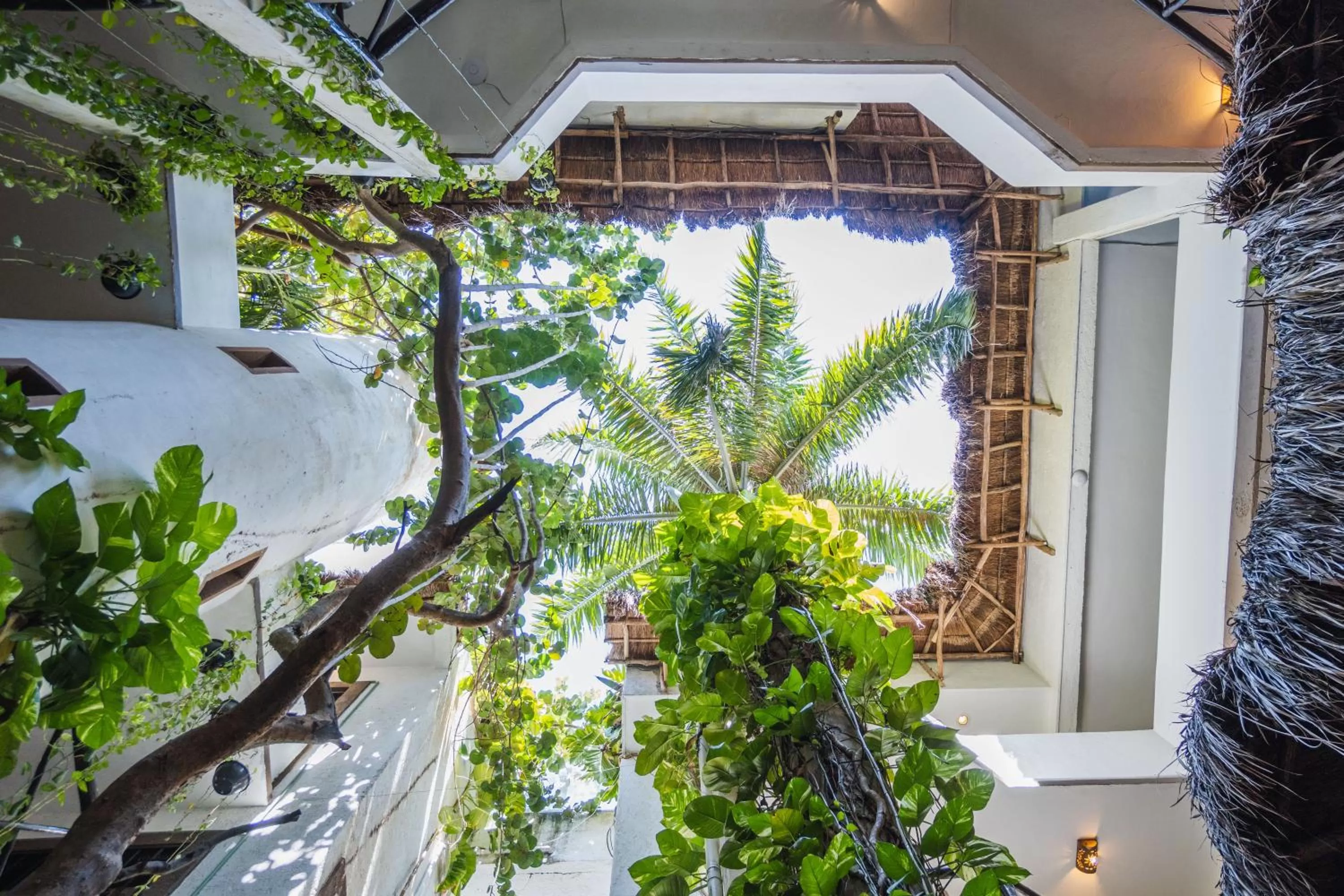 Natural landscape in Posada Mariposa Boutique Hotel - 5th Avenue