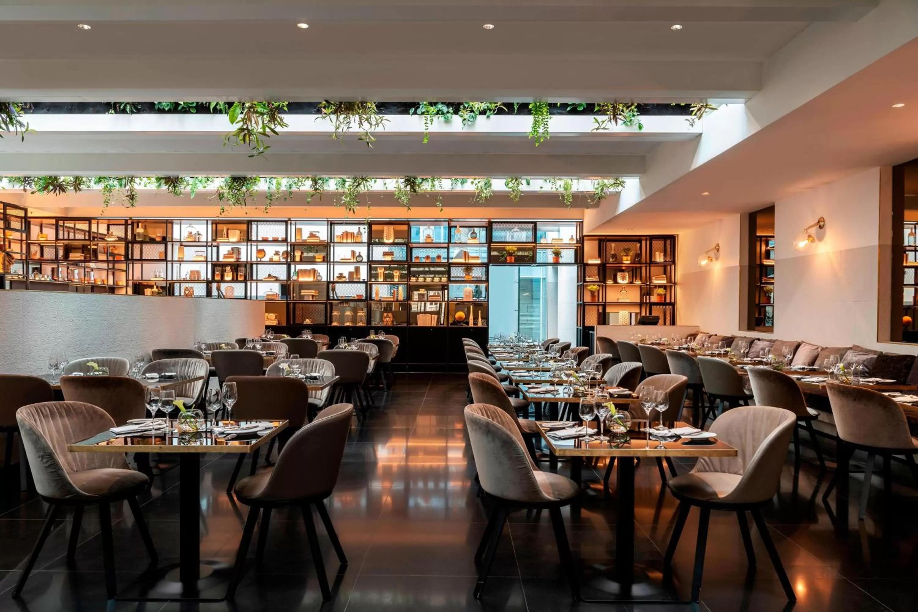 Restaurant/places to eat in Le Méridien Vienna