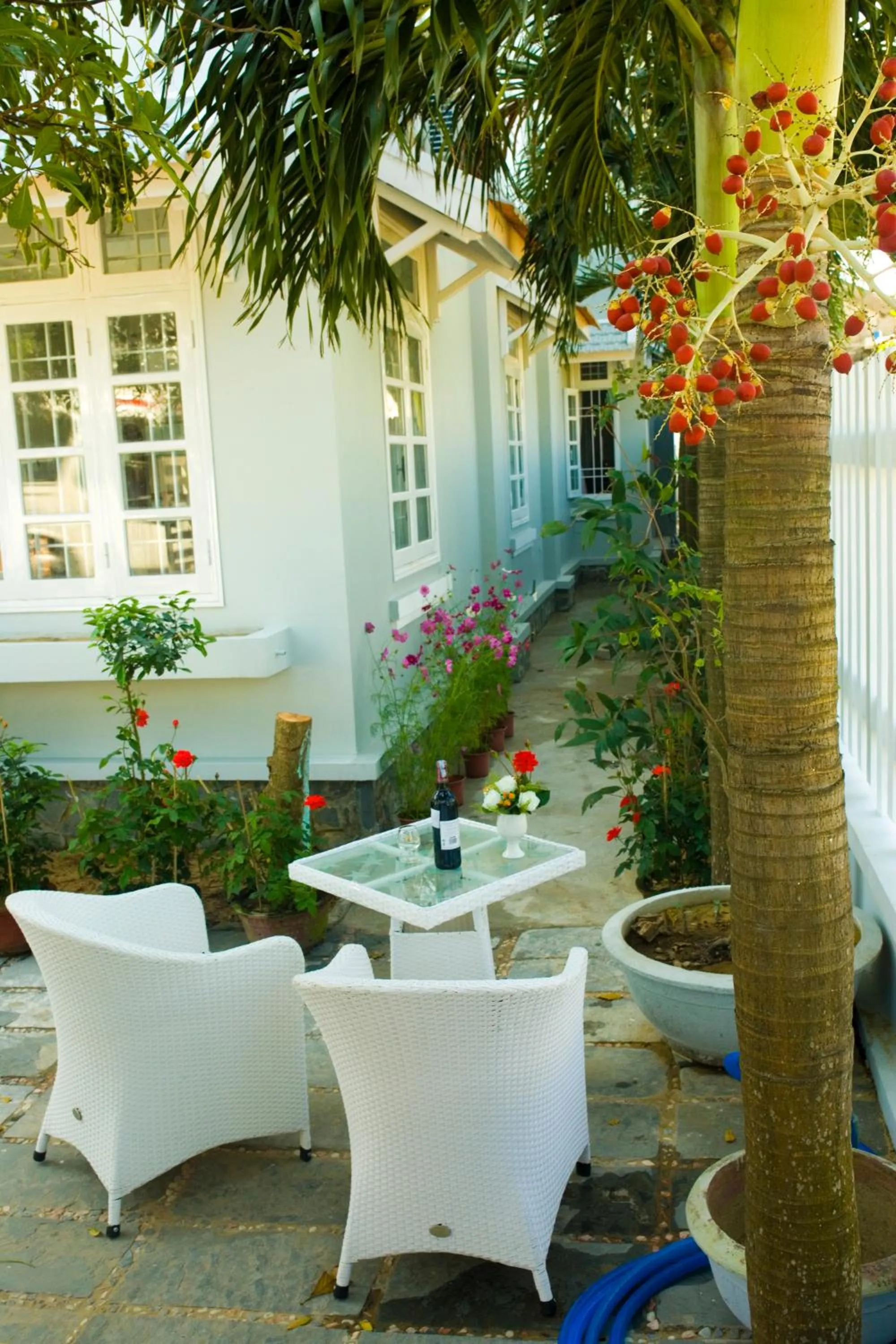 Garden in The Moon Villa Hoi An