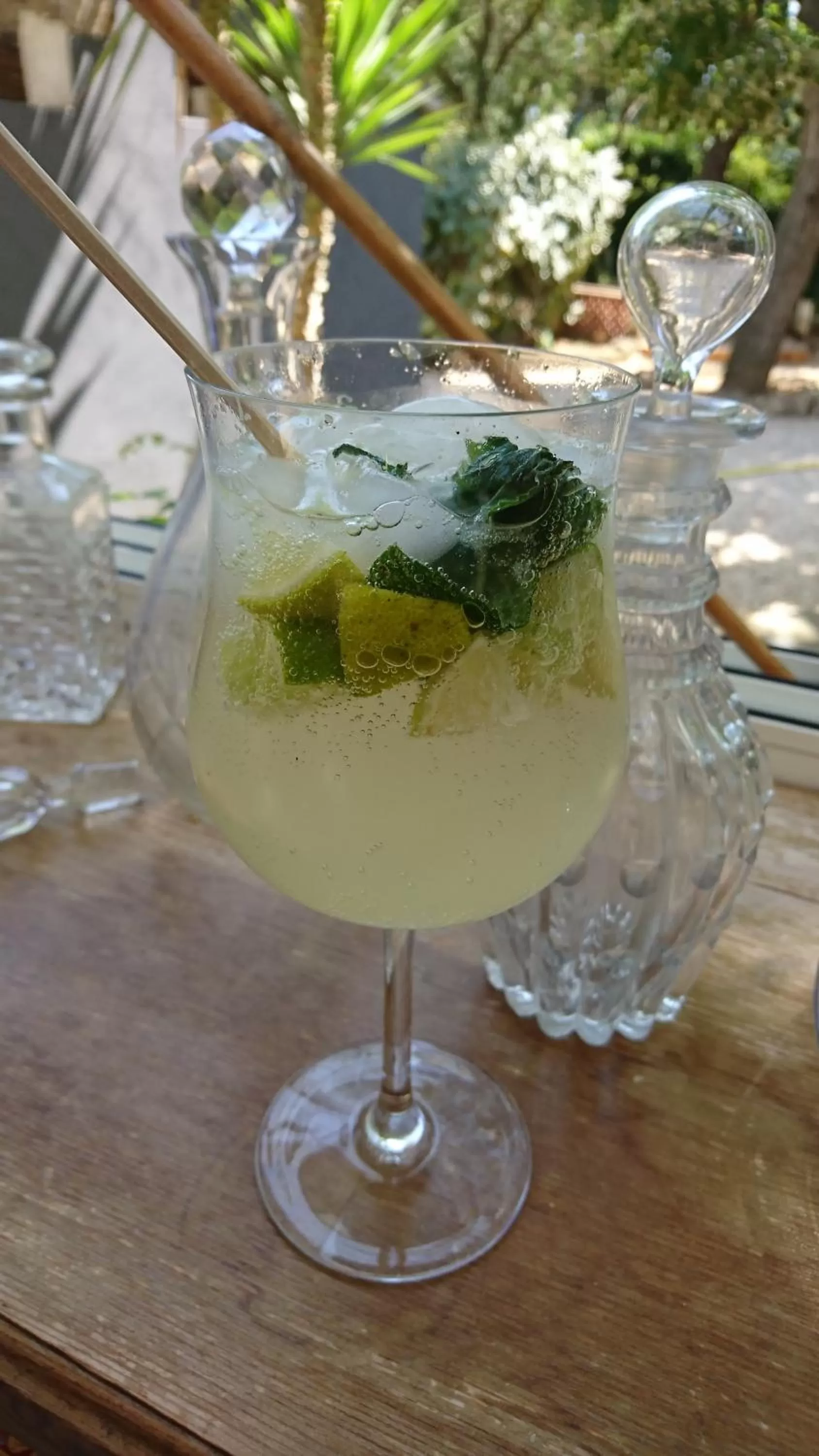 Summer in Le Jardin de LaCoste