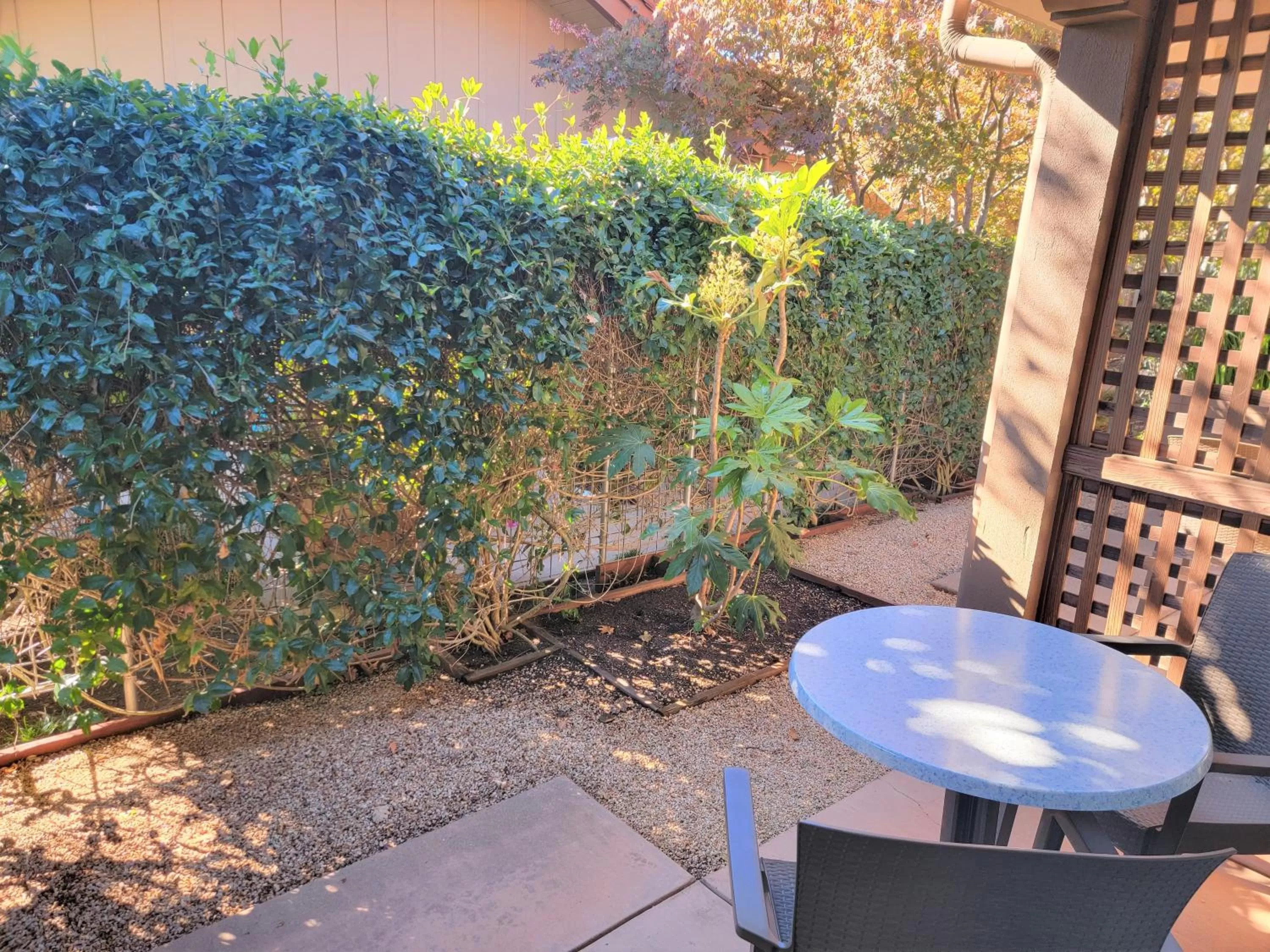Balcony/Terrace in El Pueblo Inn