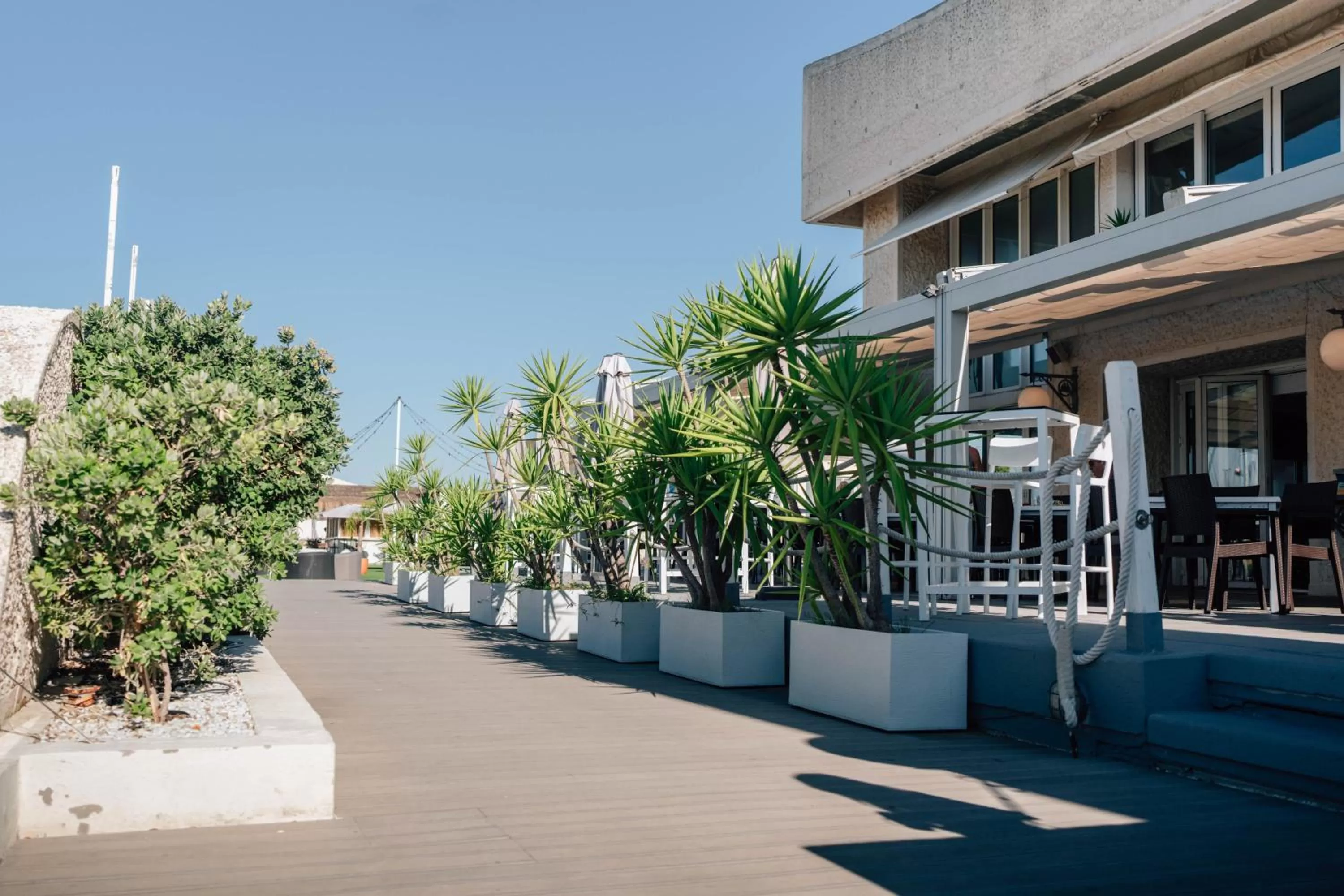 Restaurant/places to eat in Hotel Puerto Sherry